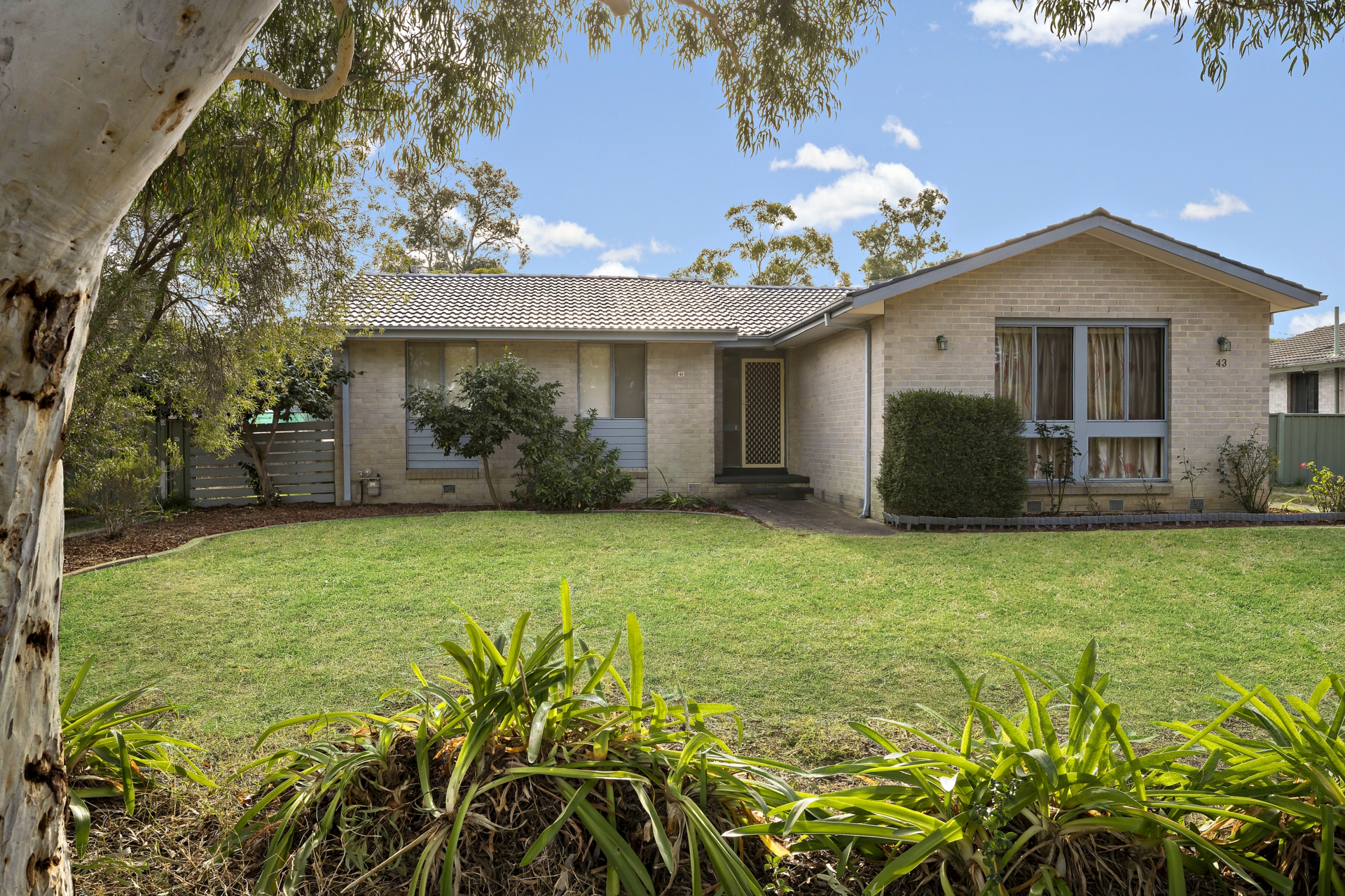 43 Jacobs Street, EVATT