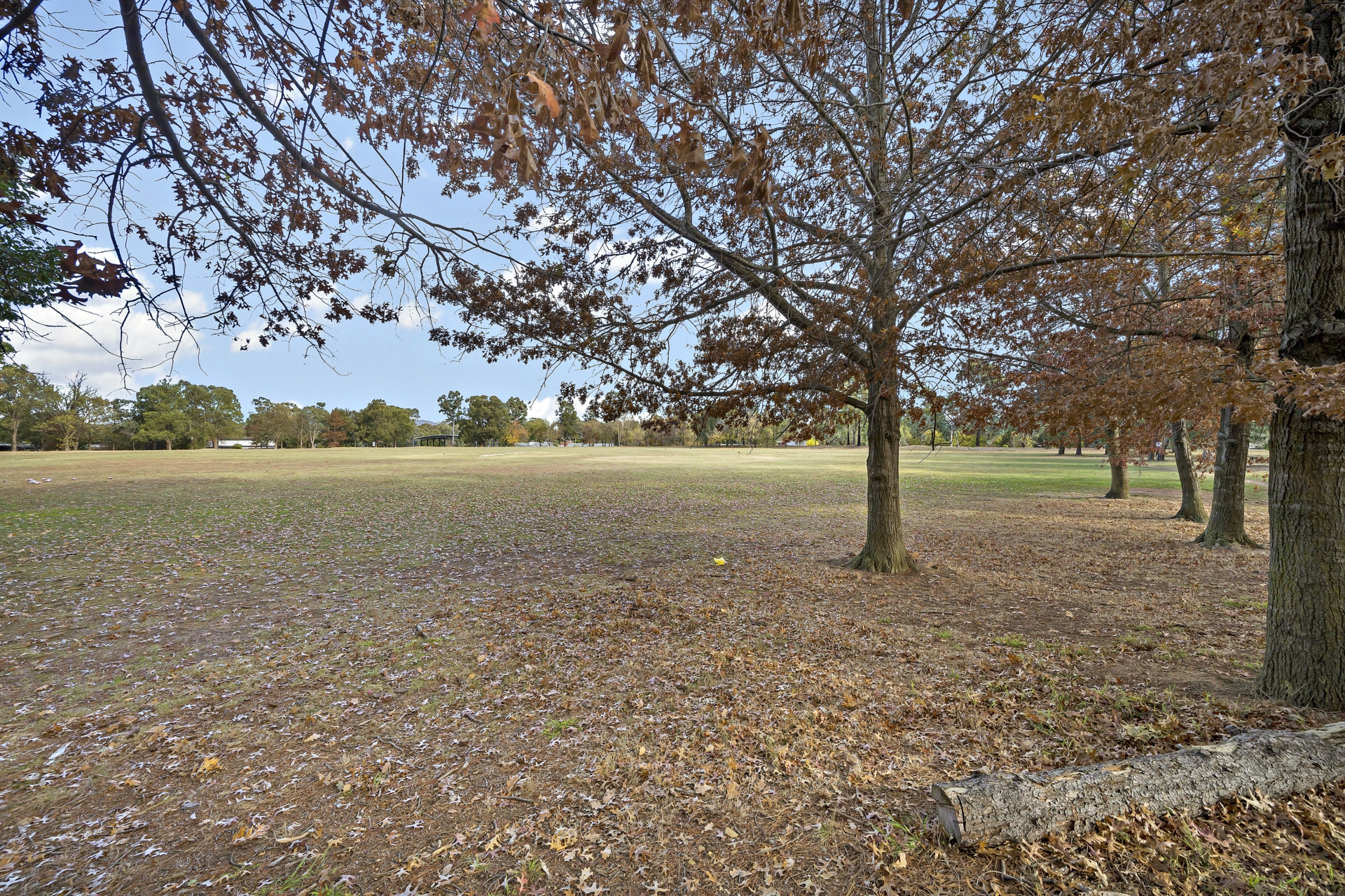43 Jacobs Street, EVATT