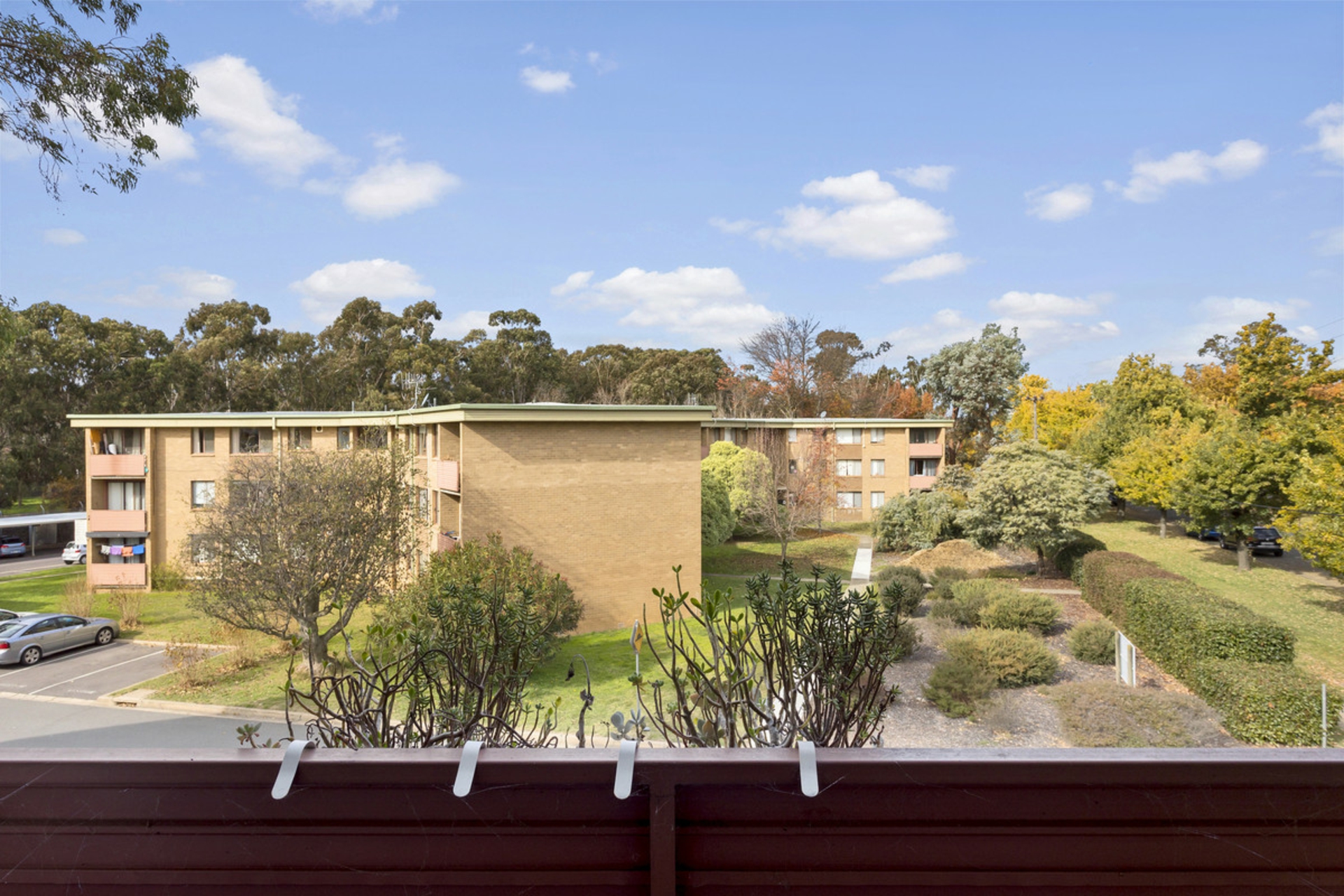 31/60 Wattle Street — photo 10 of 12