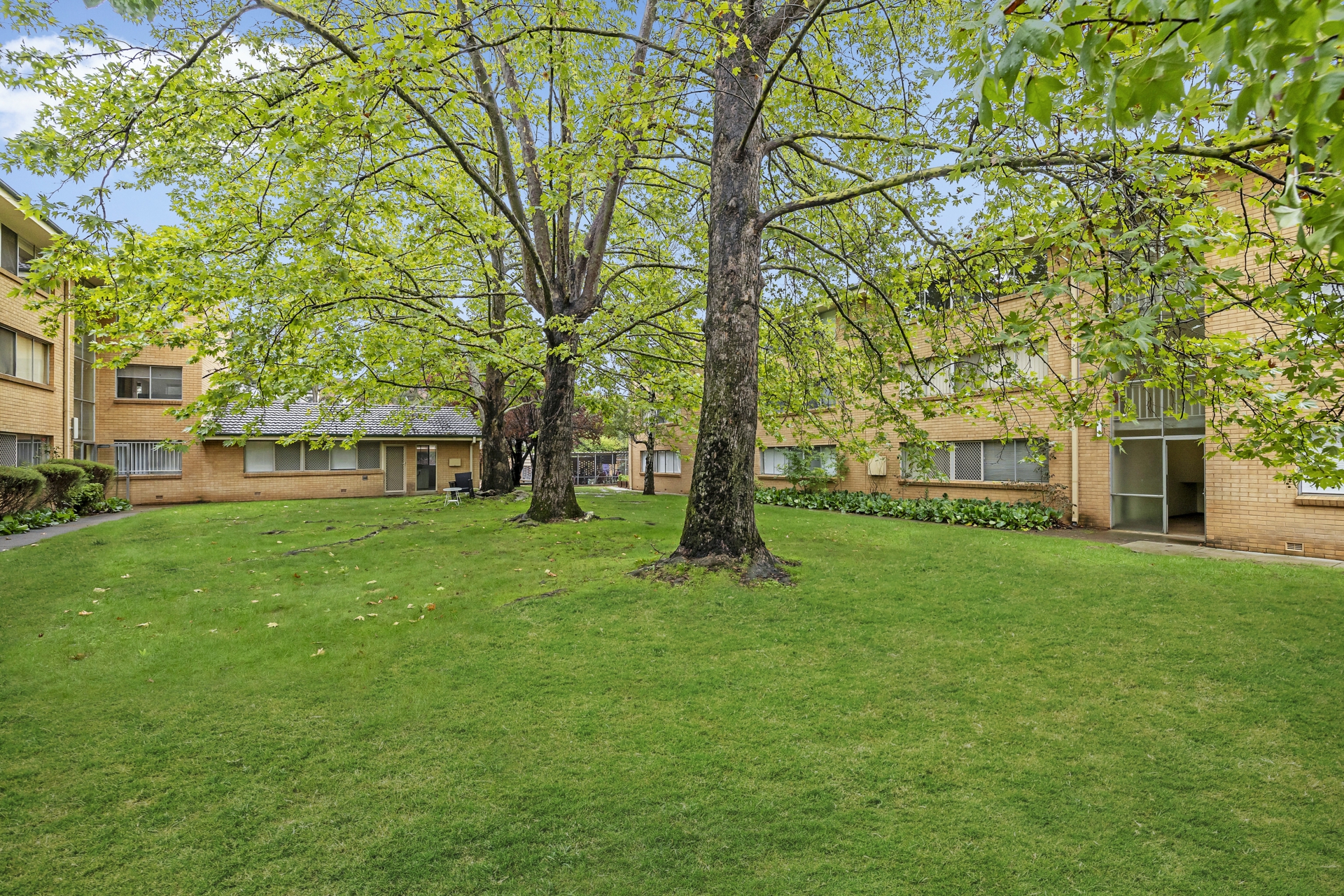 31/41 David Street — photo 10 of 12