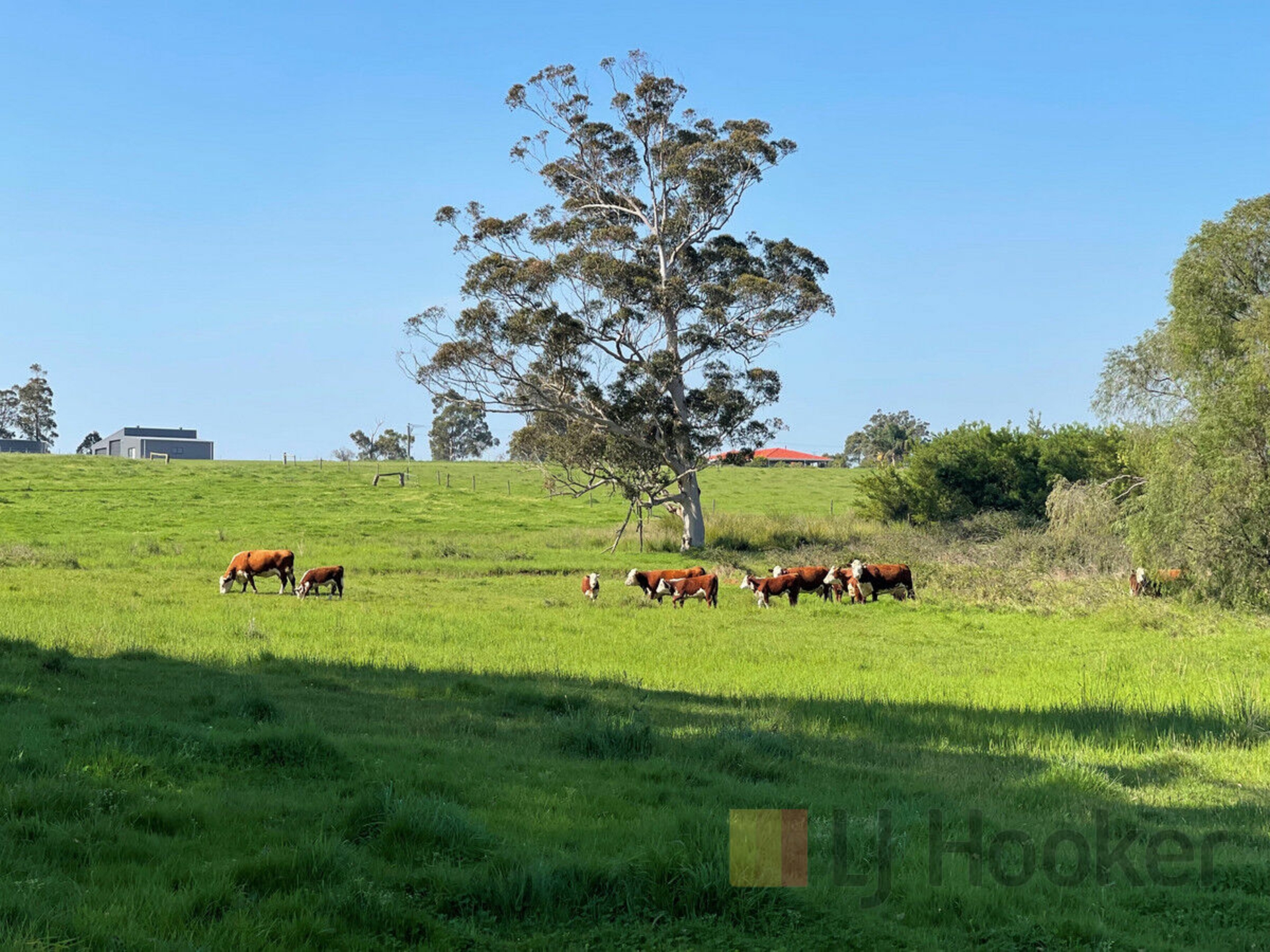 Stage 2 Golf Links Road Pemberton WA Residential for Sale LJ Hooker
