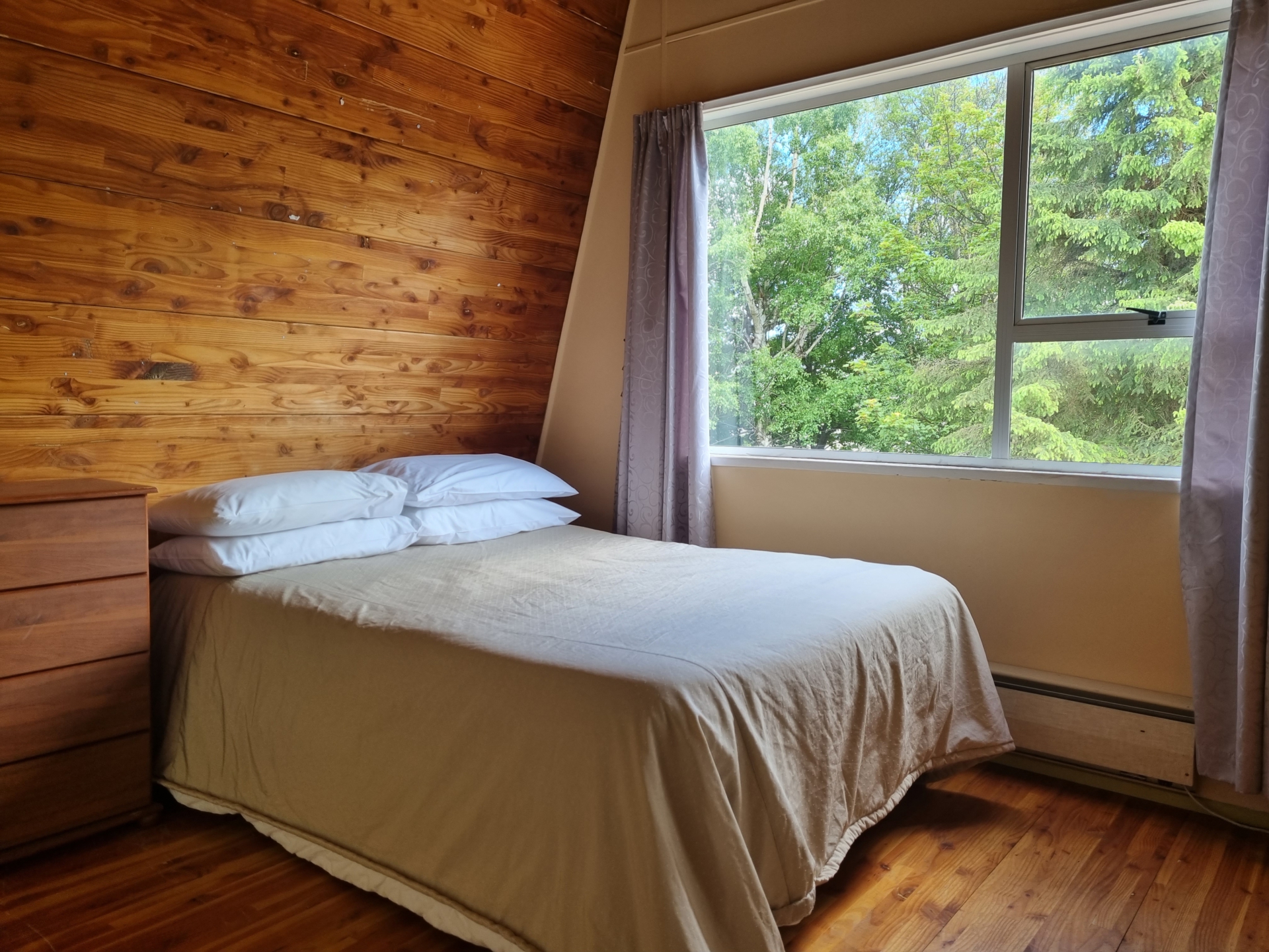 4 Mackenzie Street, LAKE TEKAPO