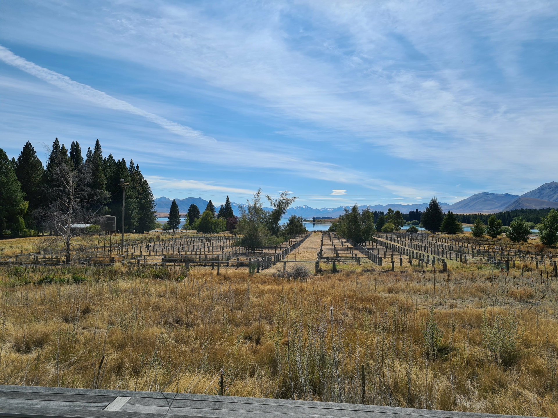 9 Dwyer Place, LAKE TEKAPO