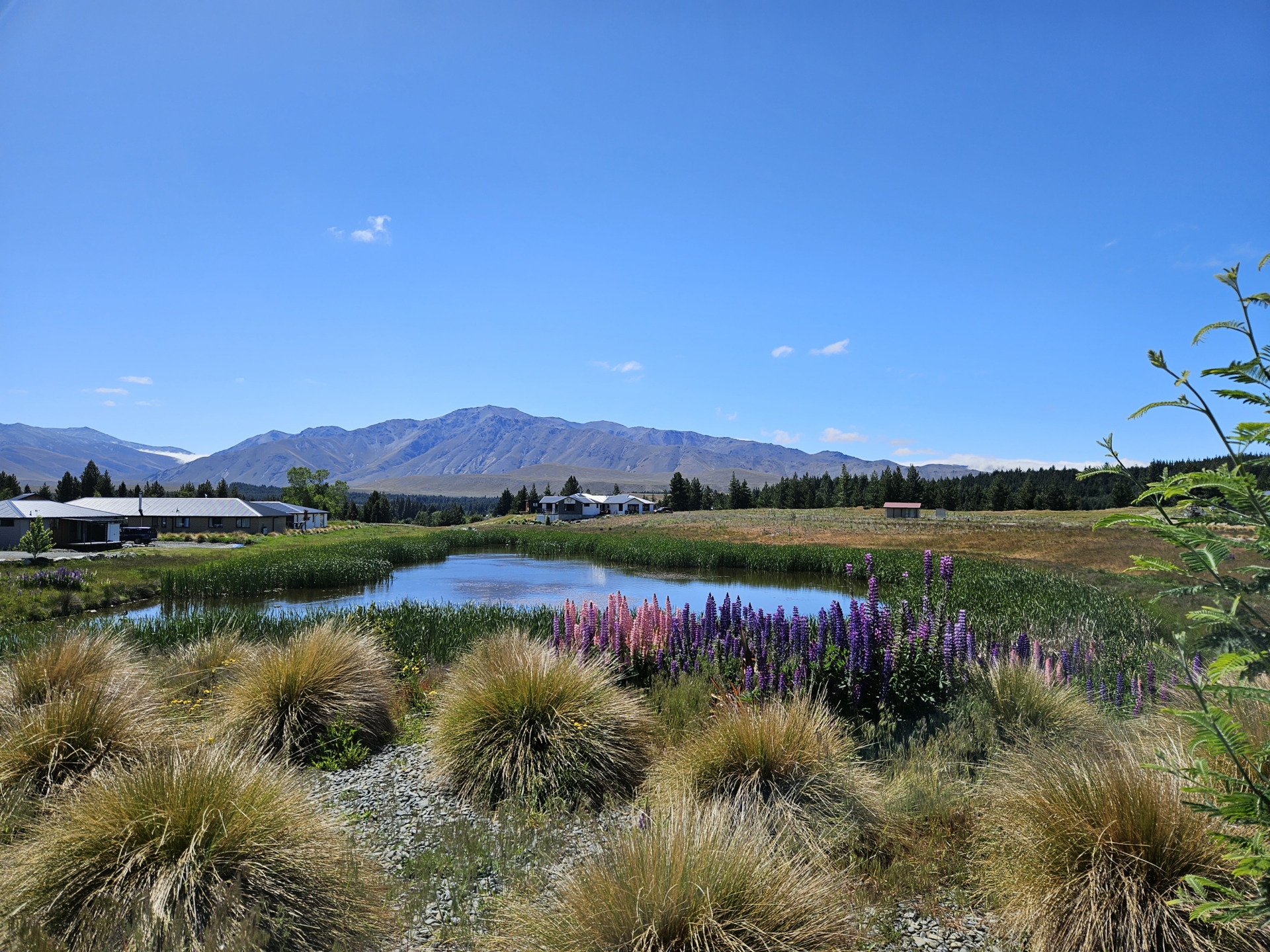21 Andrew Don Drive, LAKE TEKAPO