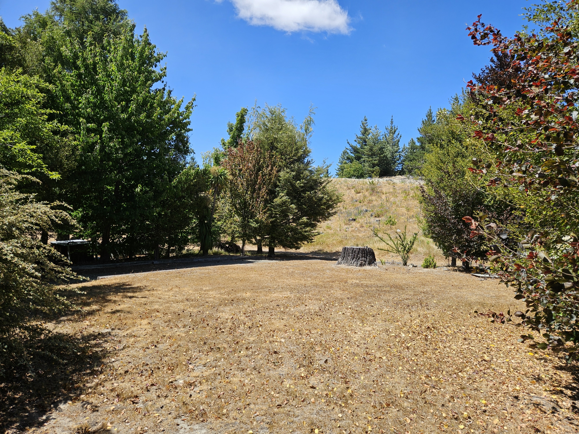 54 Murray Place, LAKE TEKAPO