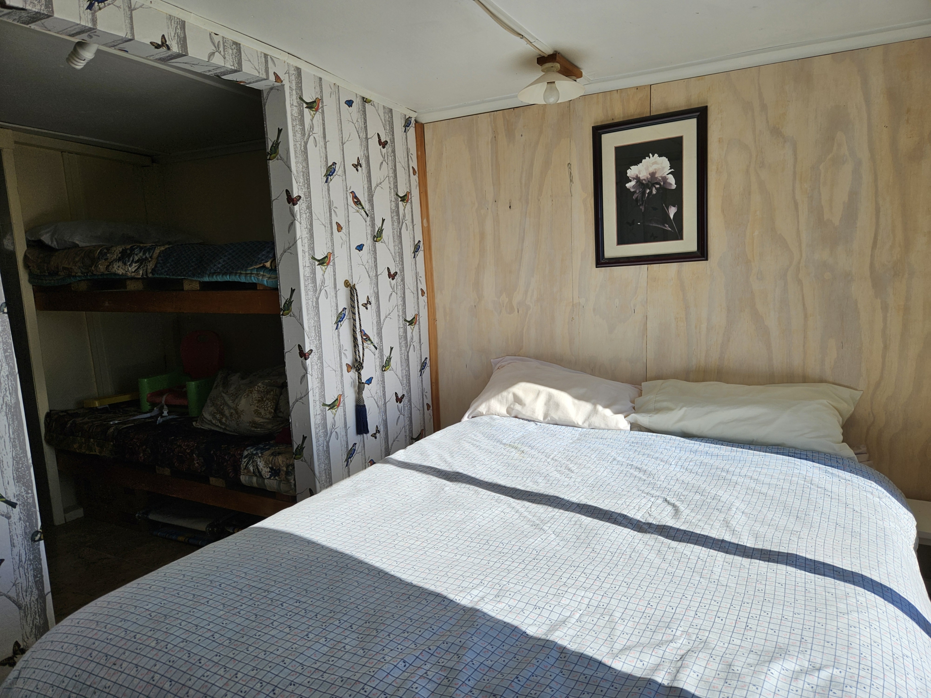 Hut 34 217 Lake Alexandrina South Road, LAKE TEKAPO