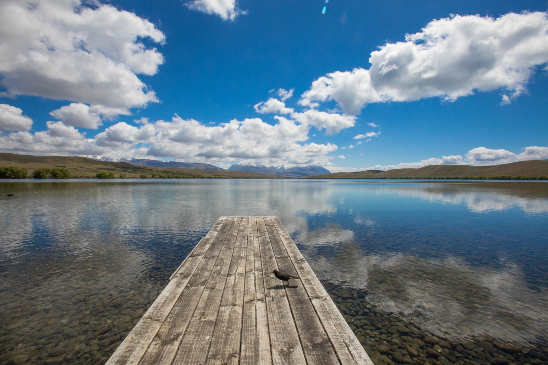 Hut 34 217 Lake Alexandrina South Road, LAKE TEKAPO