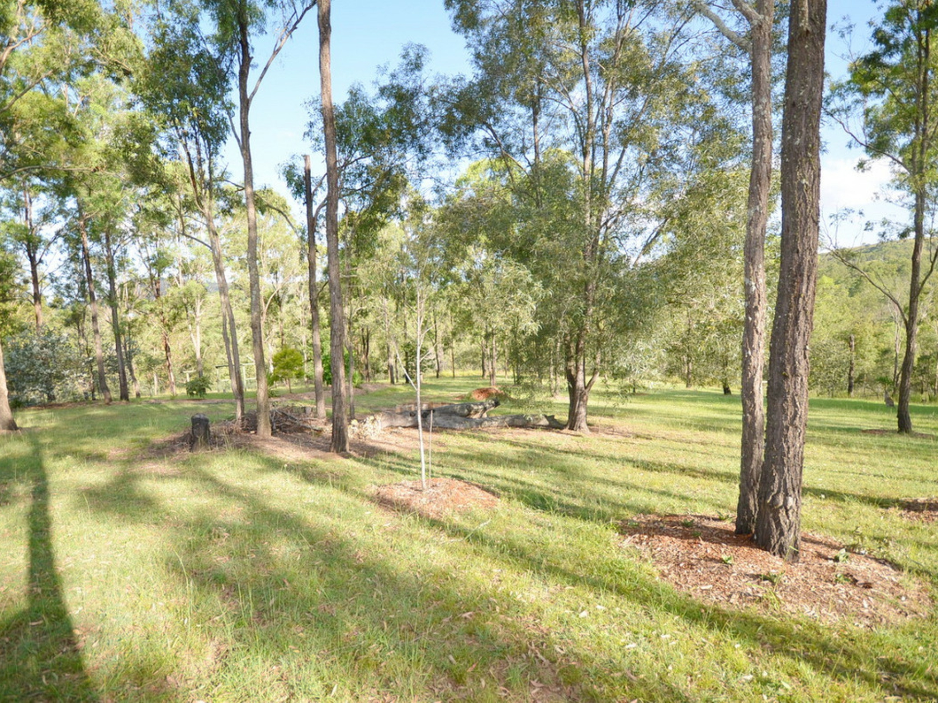 125-127 Scarvell Place, Kooralbyn