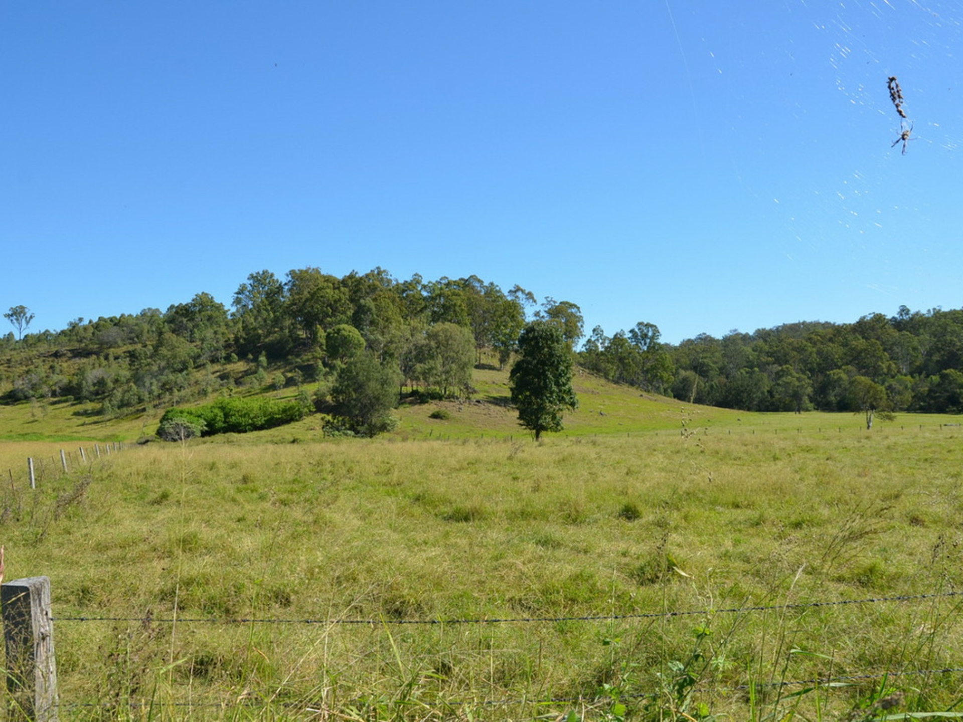 9 Kooralbyn Road Laravale QLD Property Details LJ Hooker