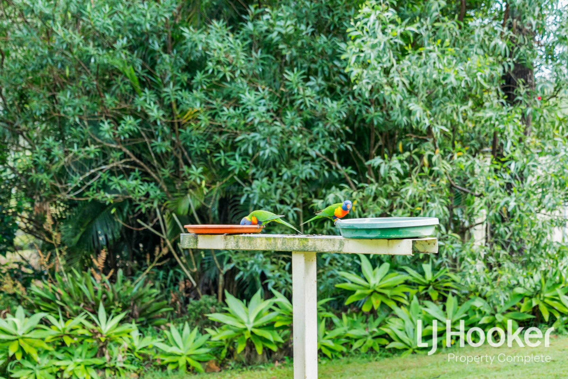40-44 King Parrot Close, BOYLAND