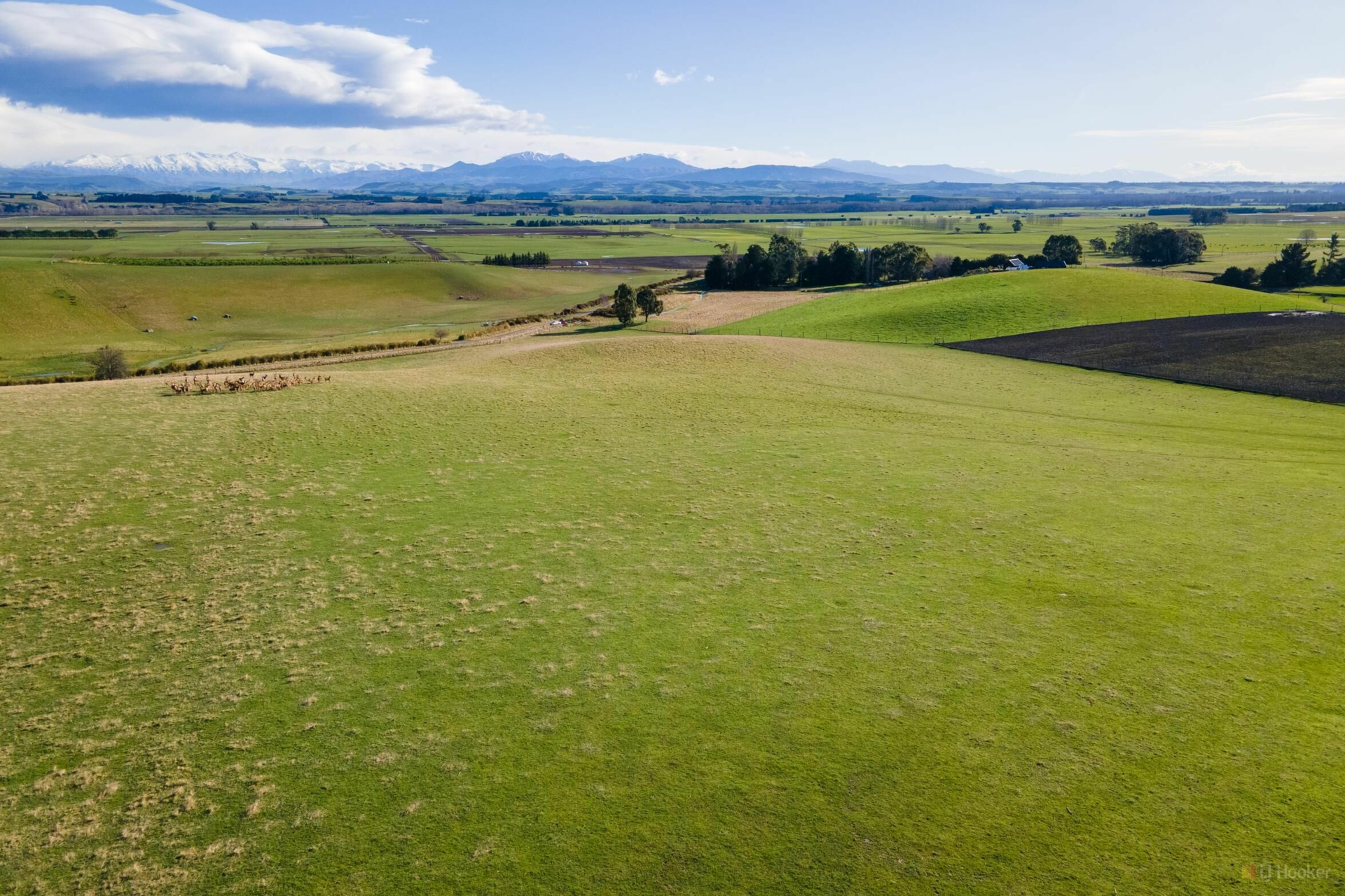 Lot 2 Clarkson Road Timaru Property Details LJ Hooker