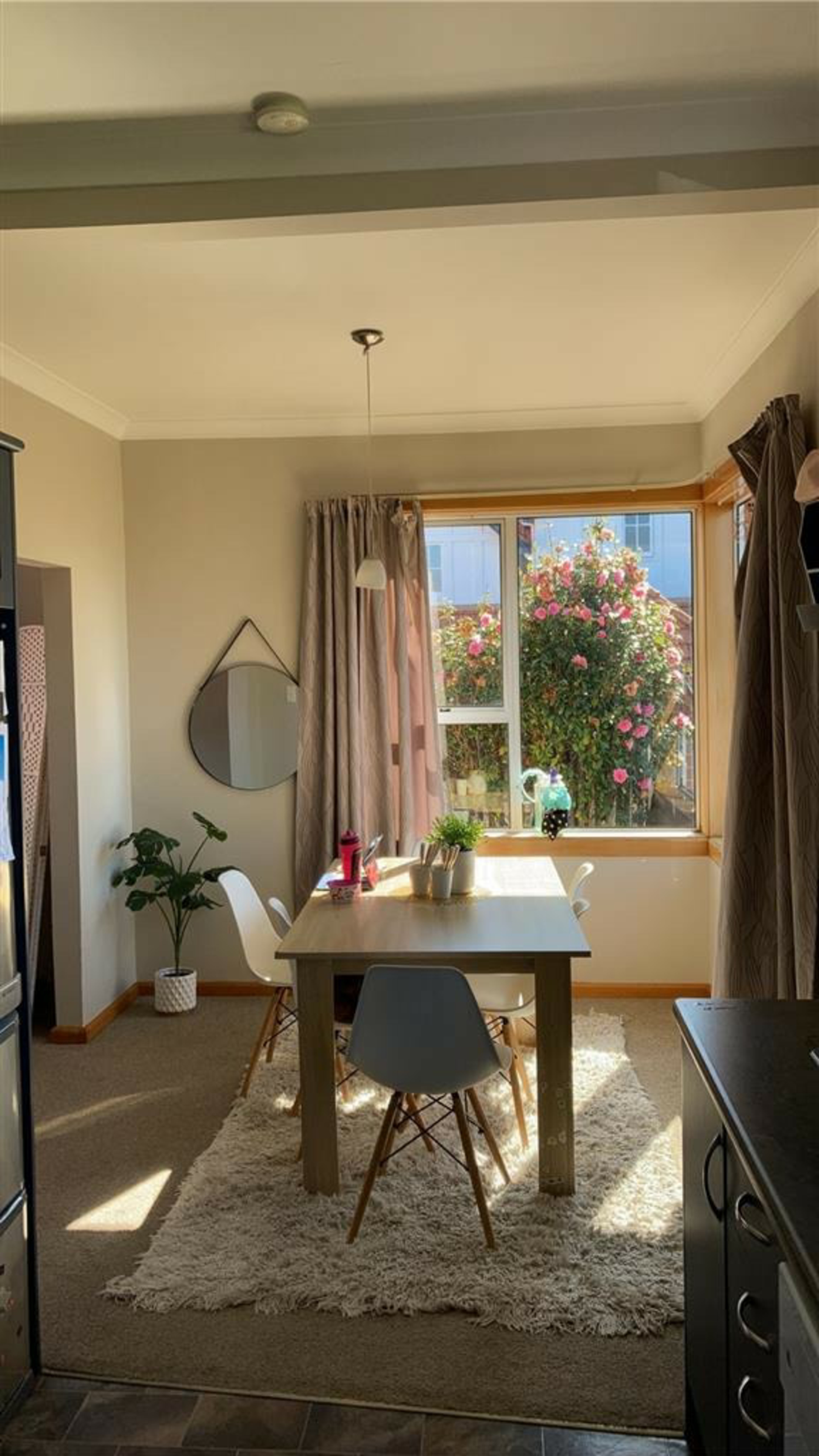 43 Rugby Street, TIMARU