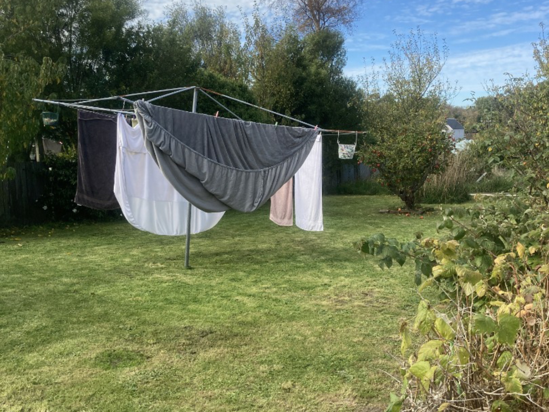 Timaru, 7910