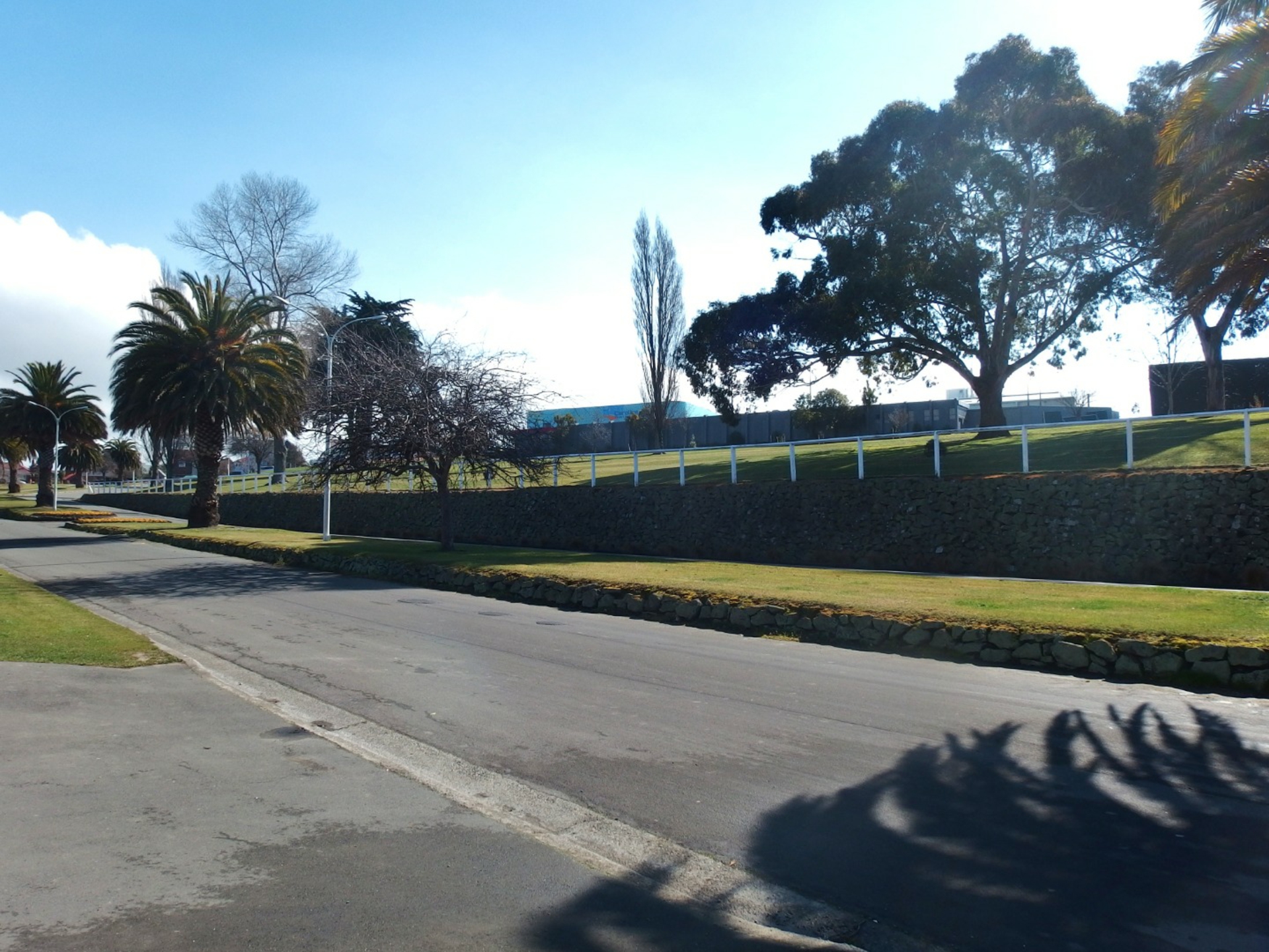 8/24 Virtue Avenue, TIMARU