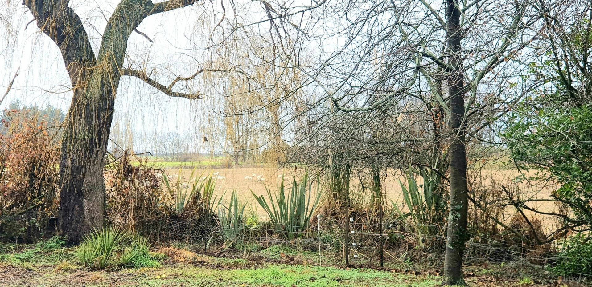 297 Milford Clandeboye Road, TEMUKA