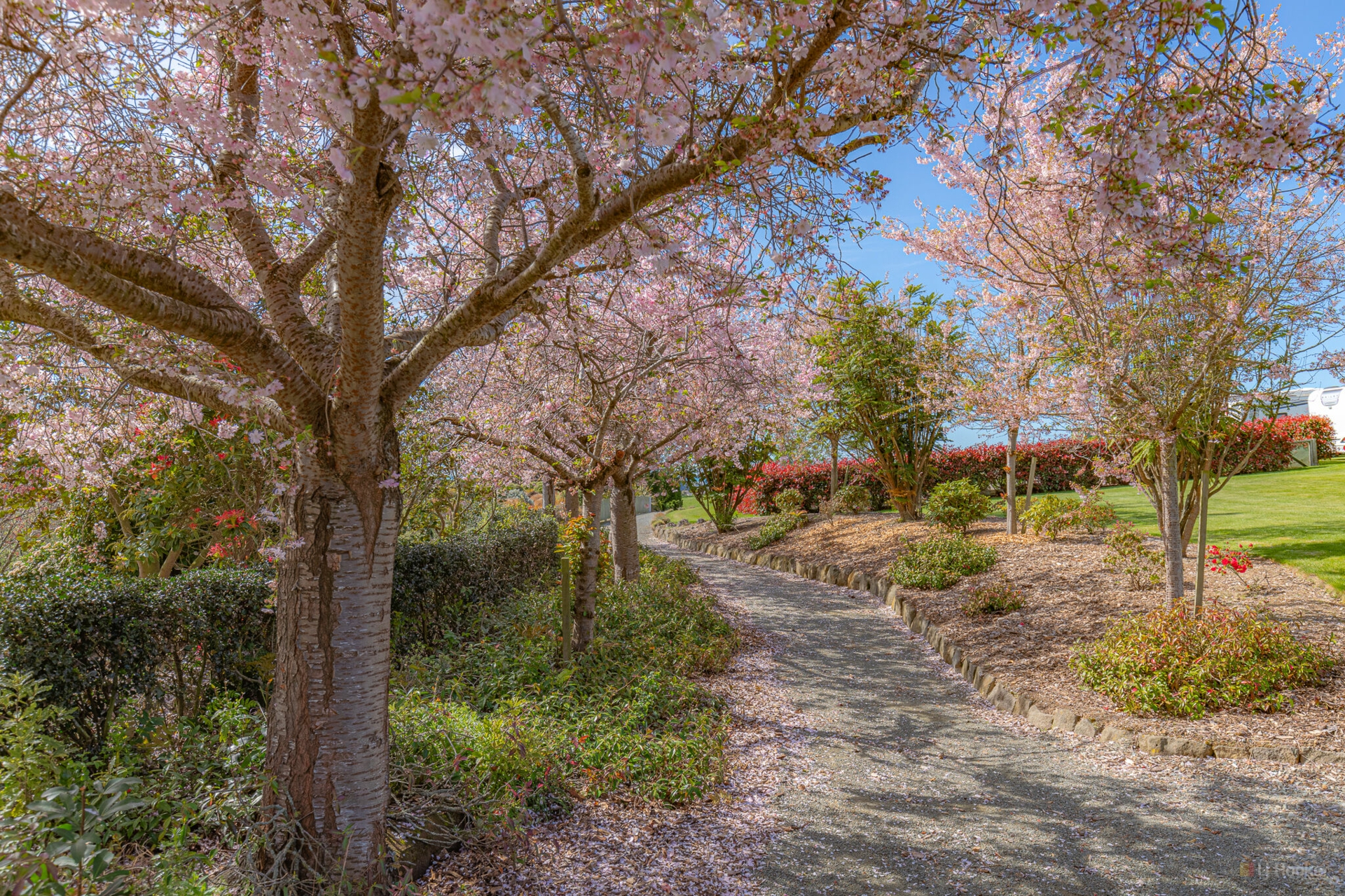 7 Peel View Place, MARCHWIEL