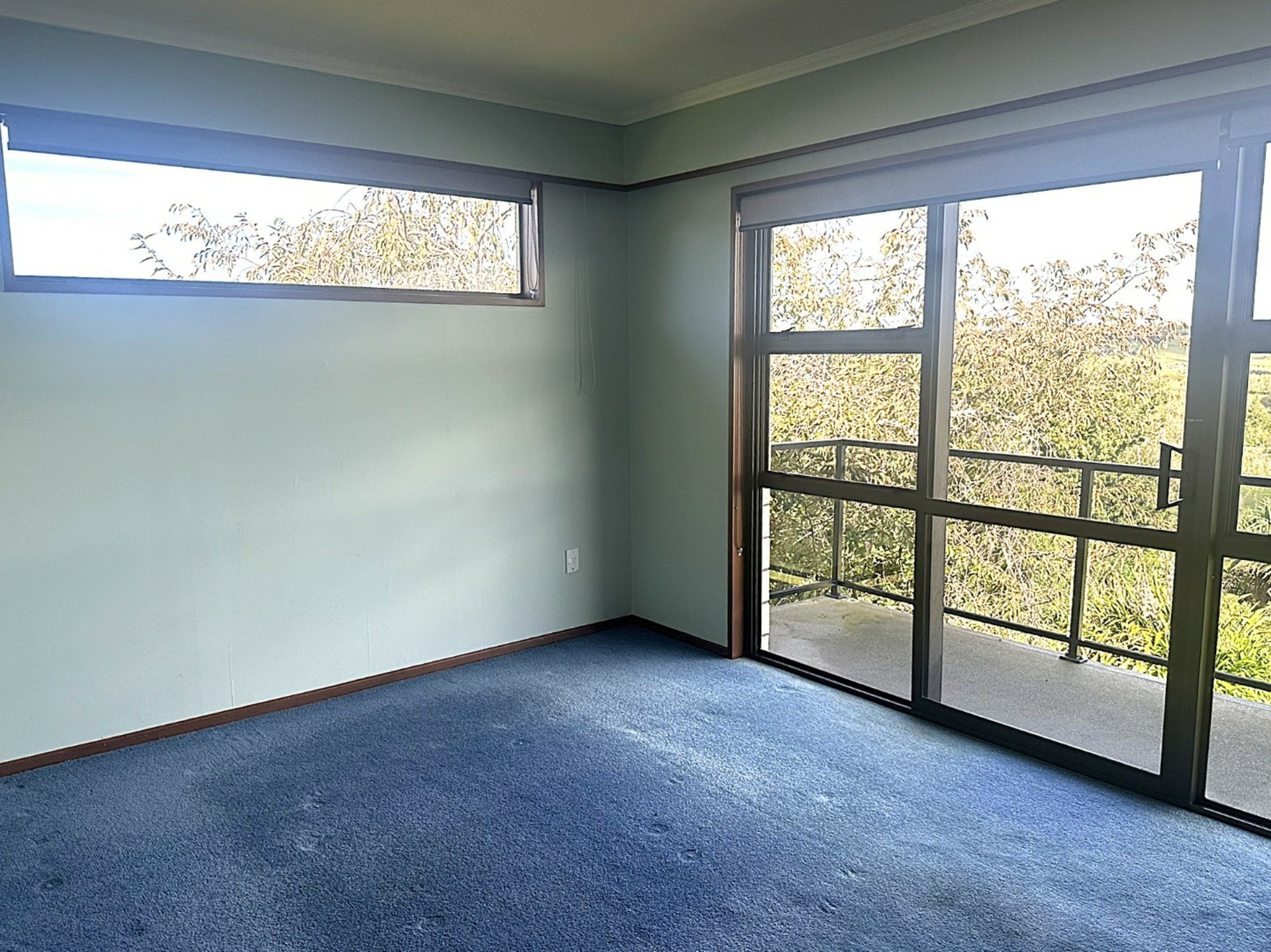 Timaru, 7910