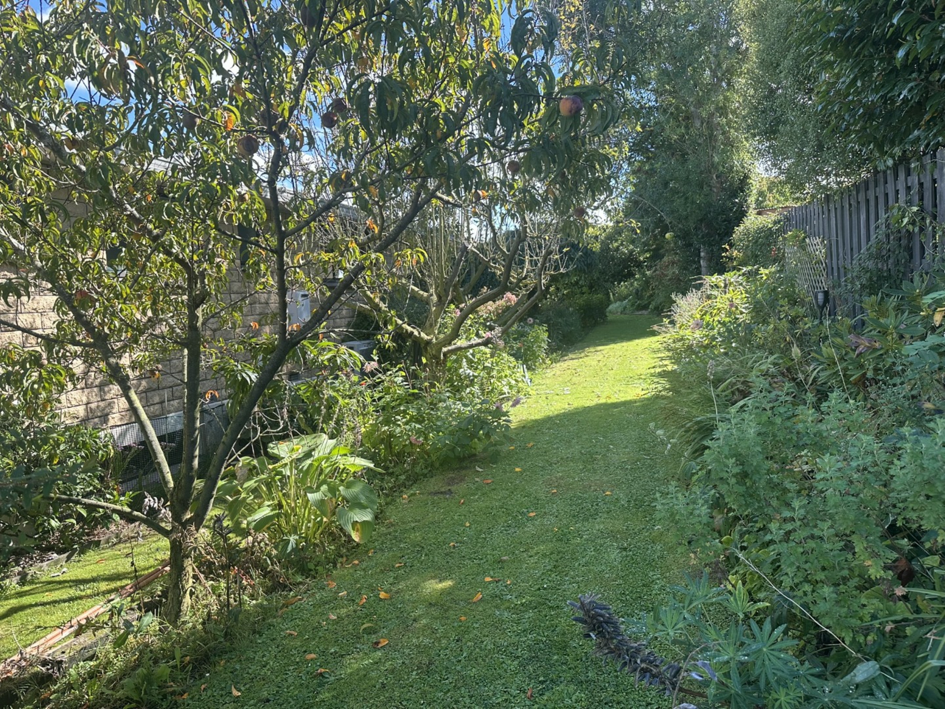 Timaru, 7910