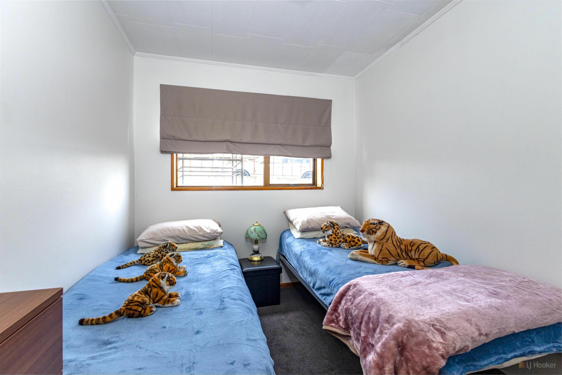 1/2 Napier Street, PARKSIDE