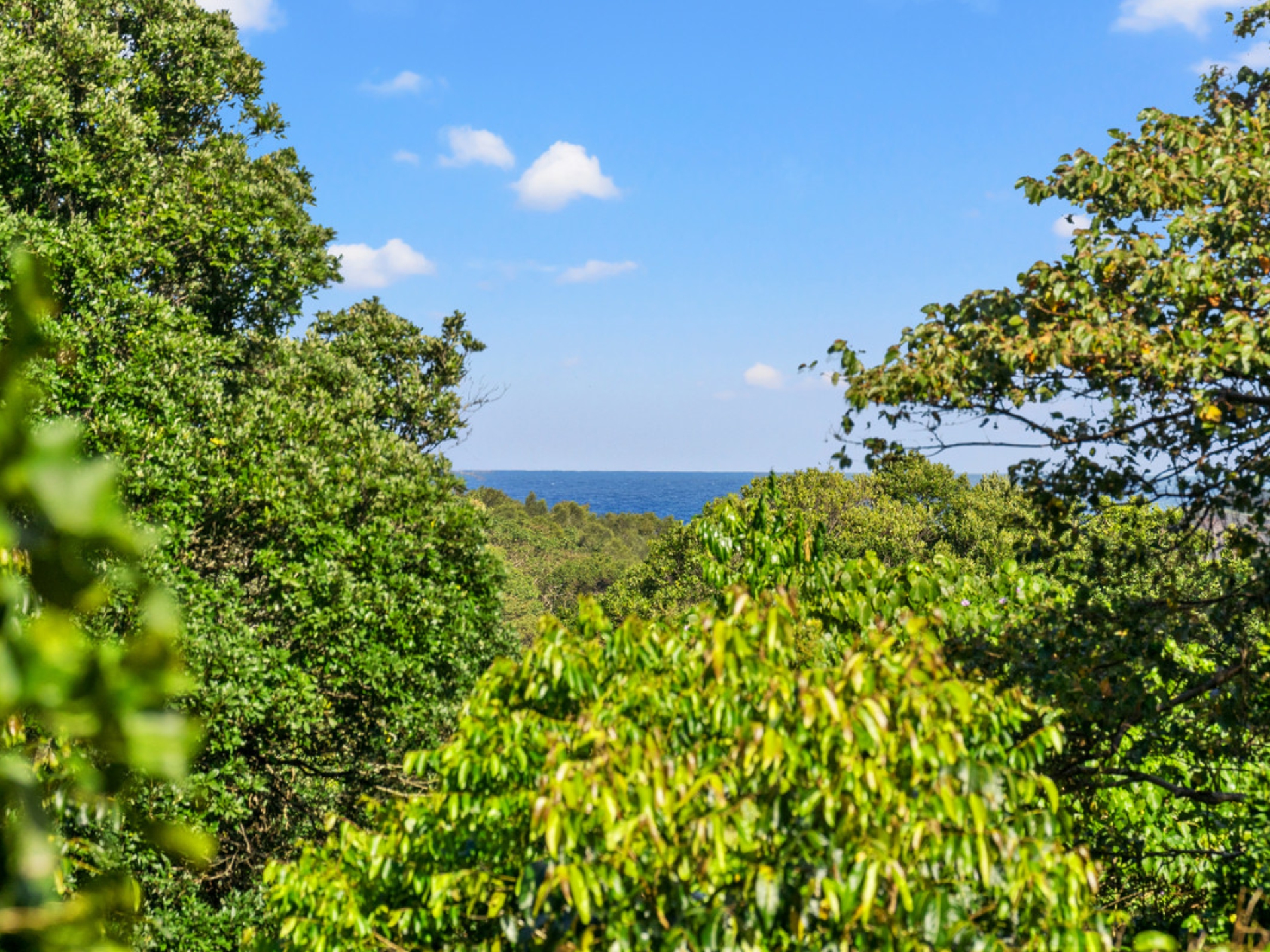 41 Amber Drive, LENNOX HEAD