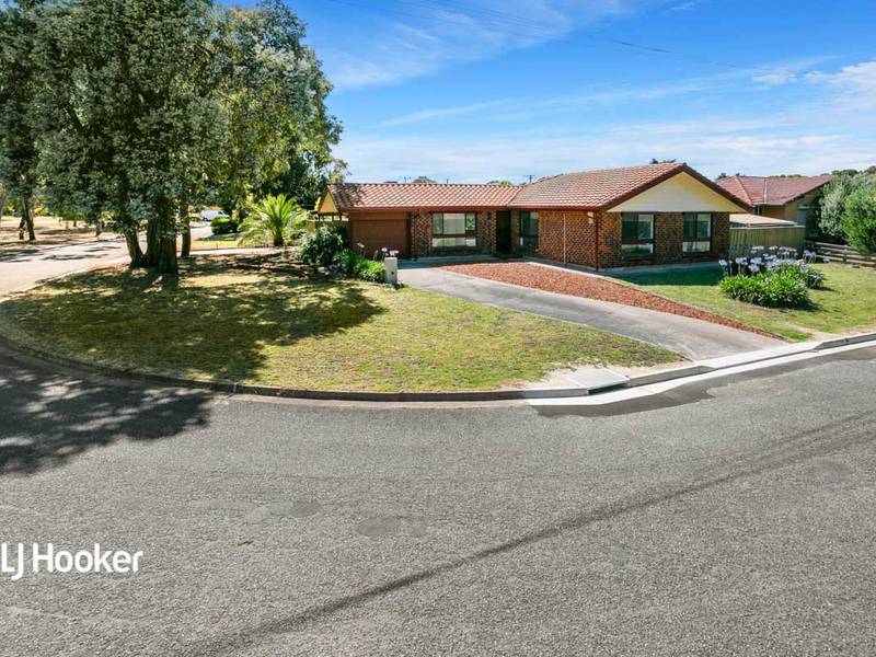 20 Hammond Avenue, MORPHETT VALE