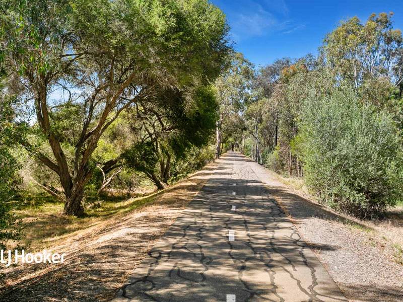 20 Hammond Avenue, MORPHETT VALE