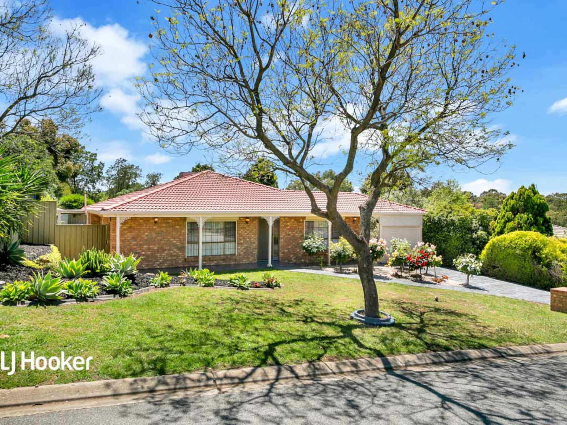 14 Pedare Court Wynn Vale SA