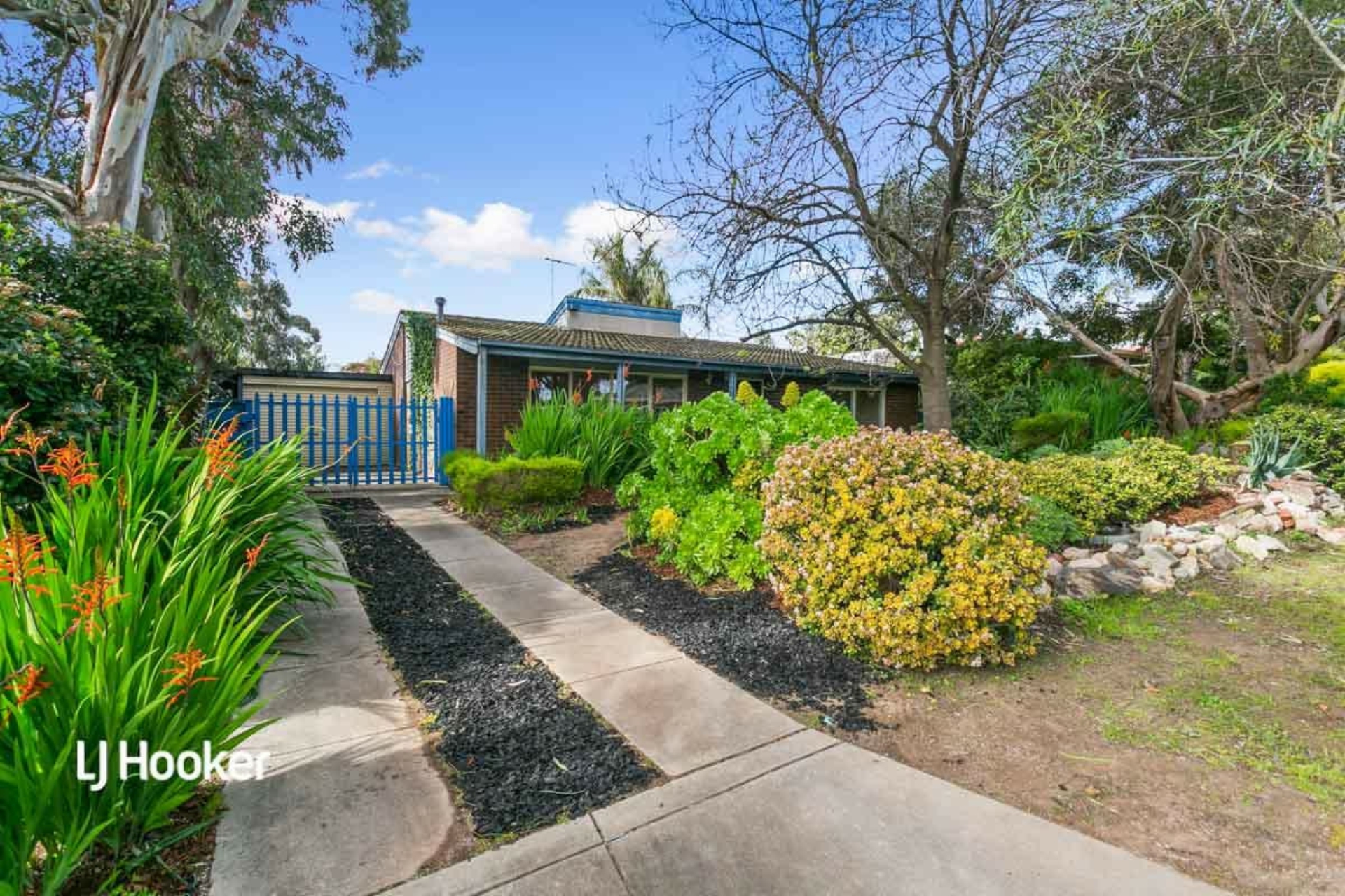 39 Kurrajong Street, SURREY DOWNS