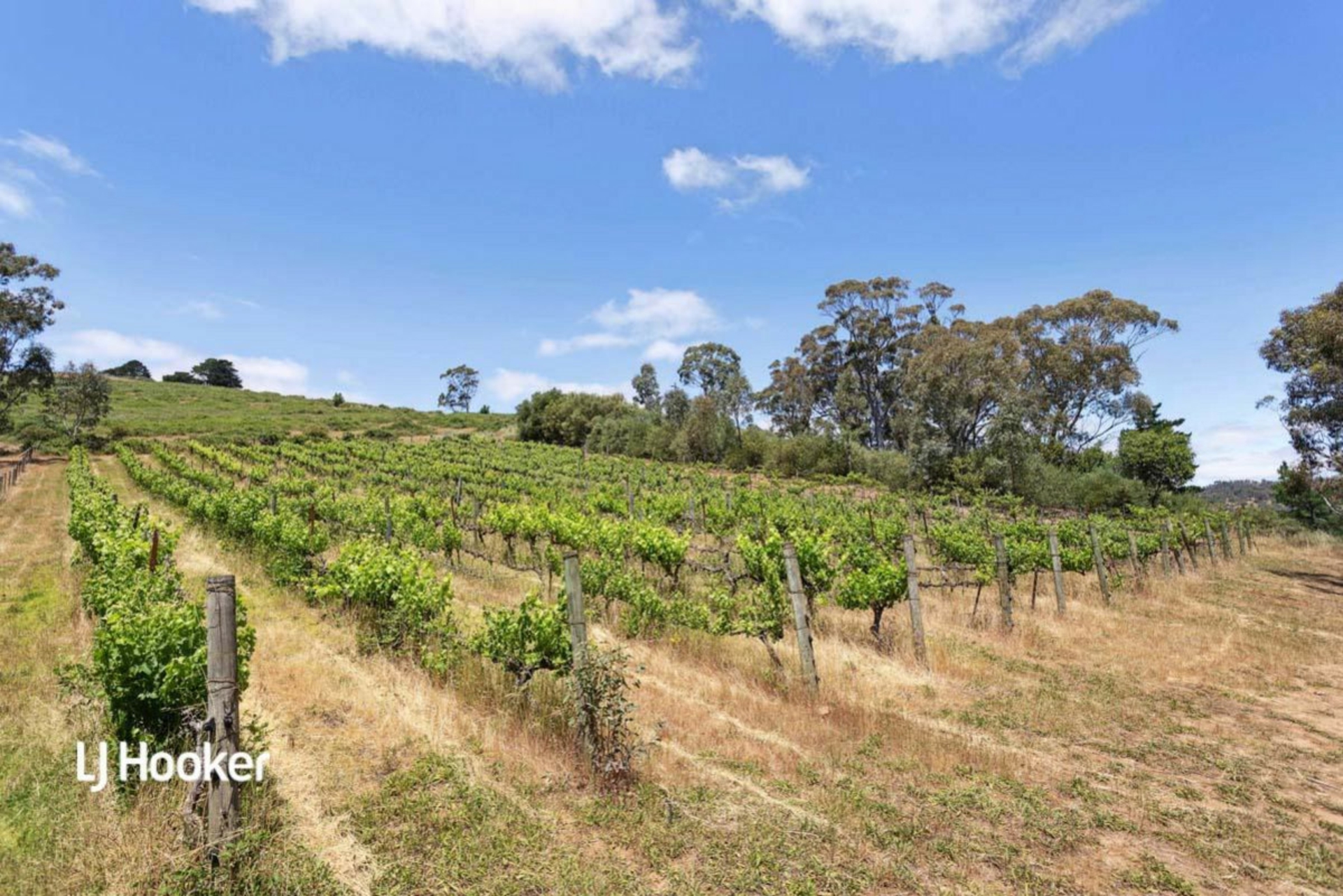 197 Tippett Road, CHAIN OF PONDS