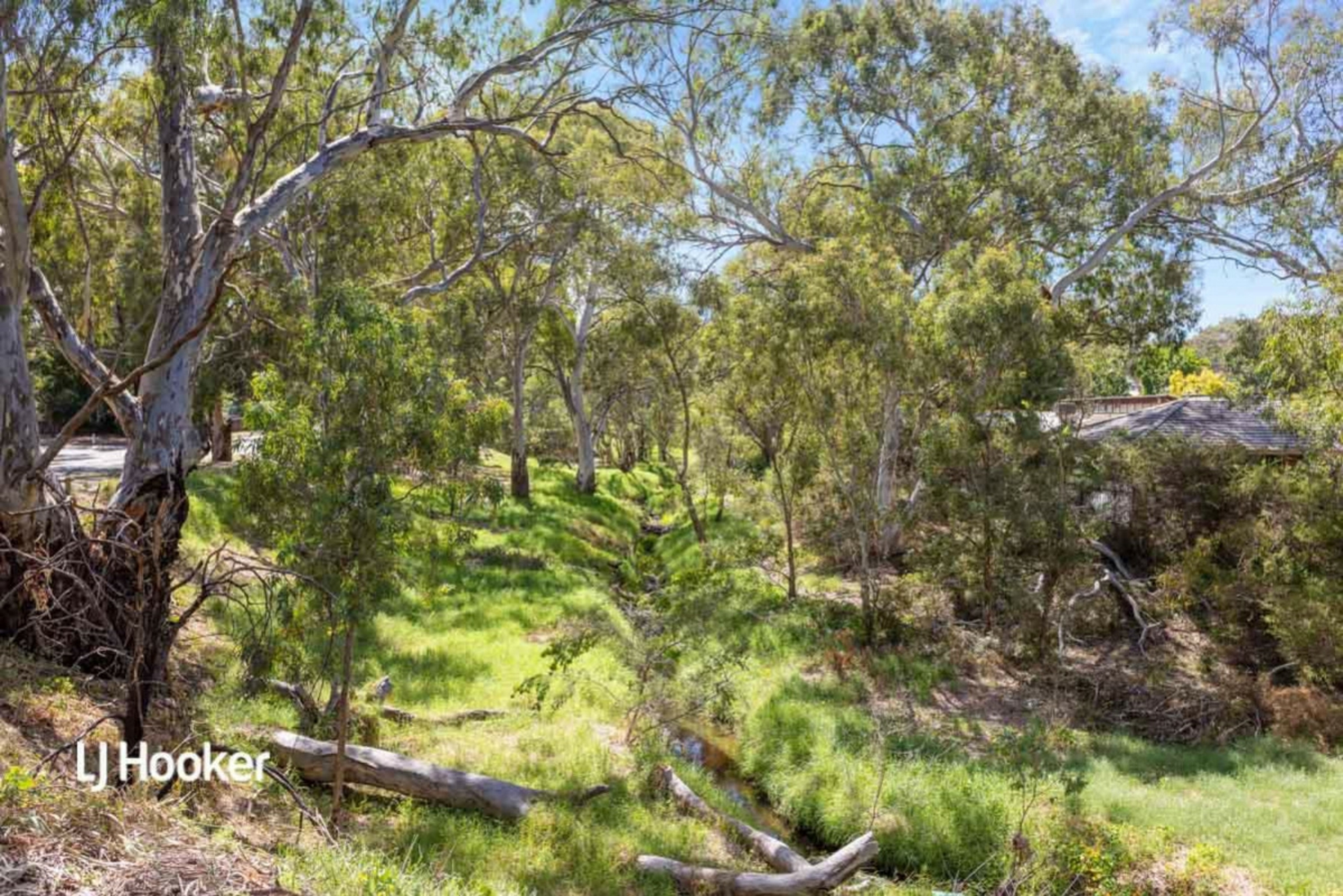 1 Catherine Drive, REDWOOD PARK