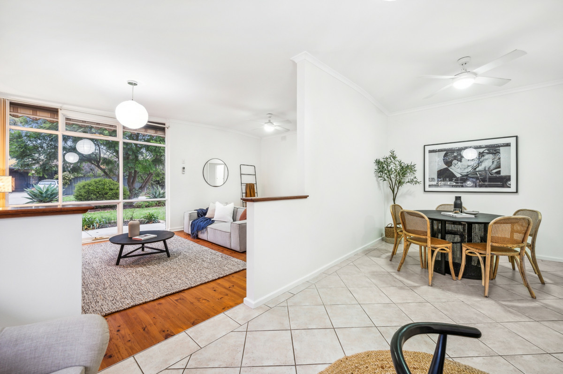 20 Barbara Street, MODBURY