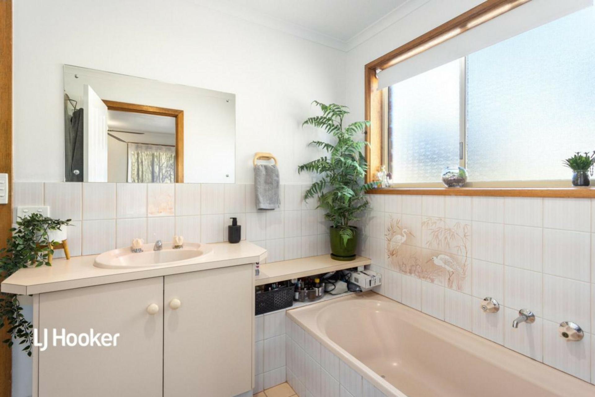 6 Thomas Court, WYNN VALE