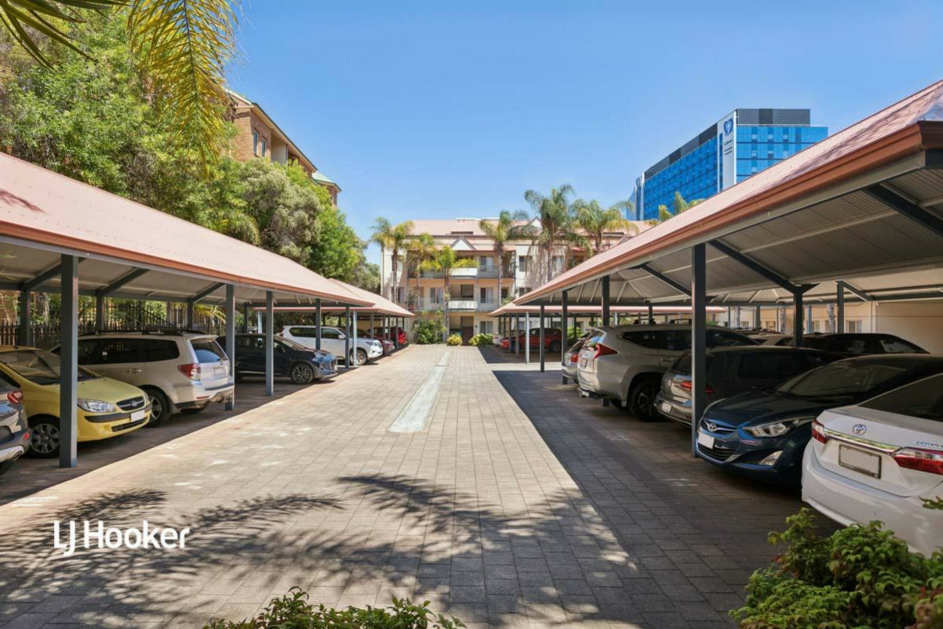 15/177 Angas Street, ADELAIDE