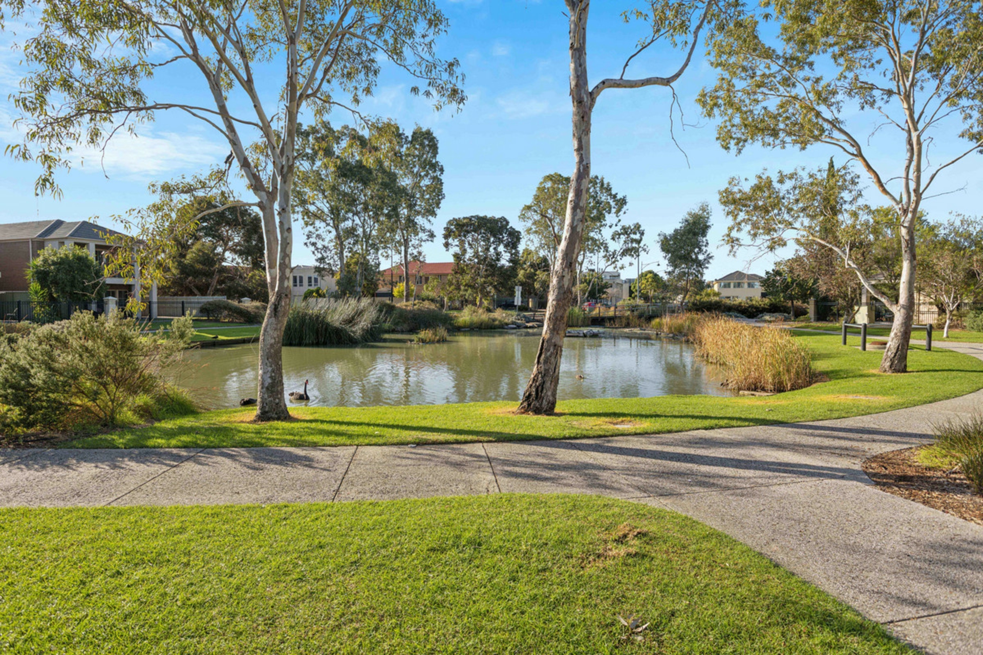 1 Weatherstone Crescent, Mawson Lakes