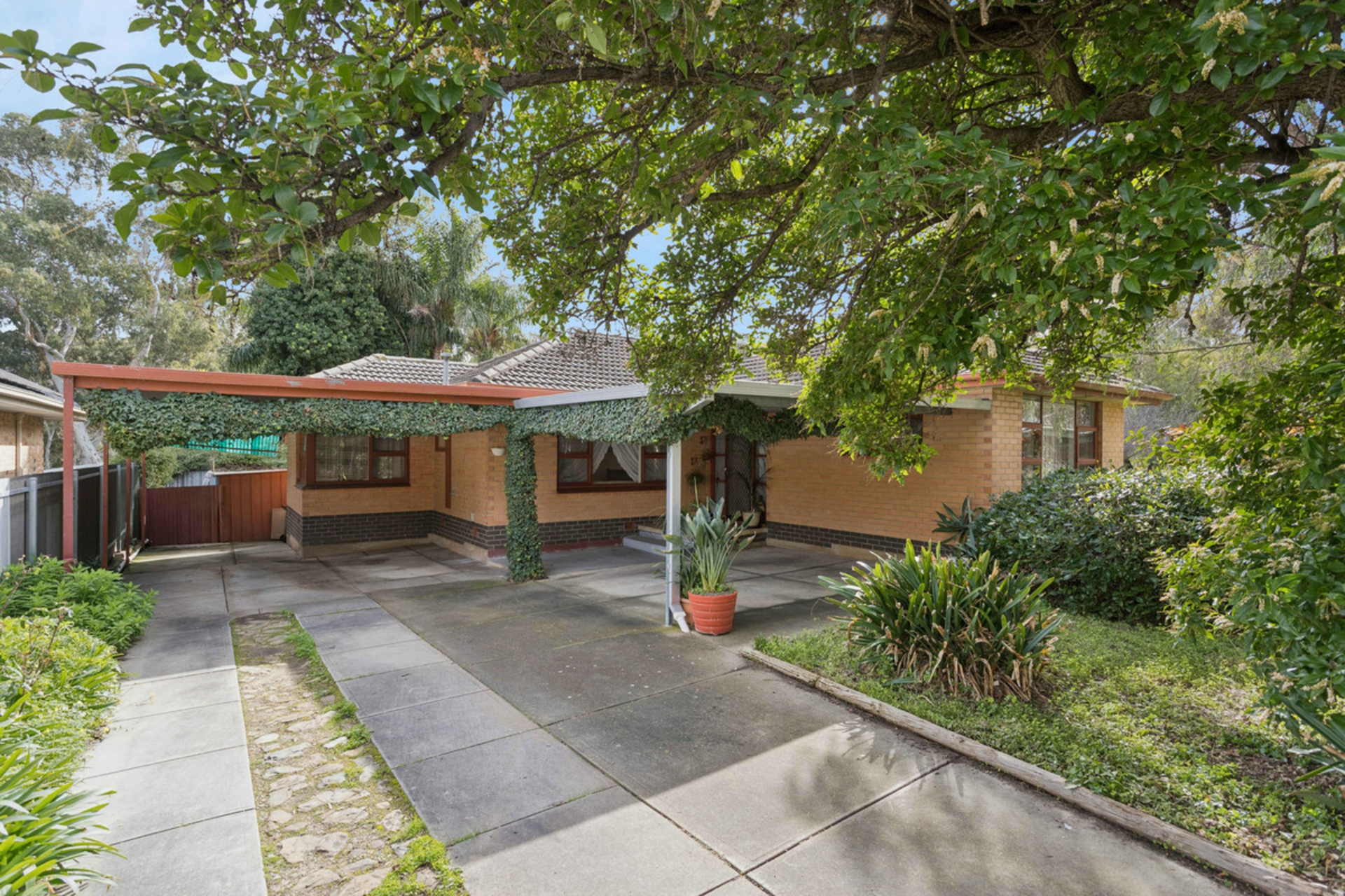 12 Norfolk Avenue — photo from LJ Hooker Property Specialists