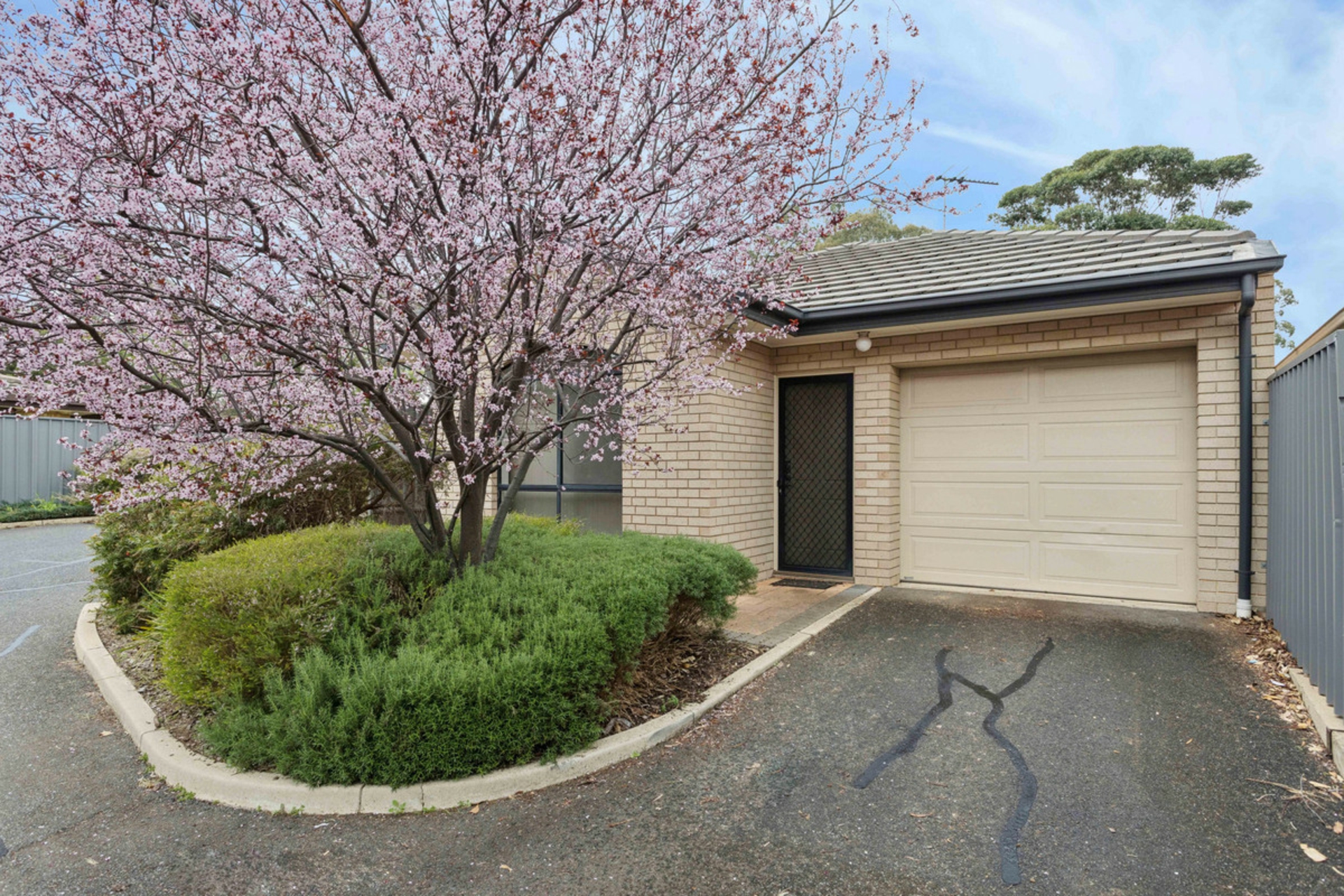 10/23 Susan Street — photo 21 of 21