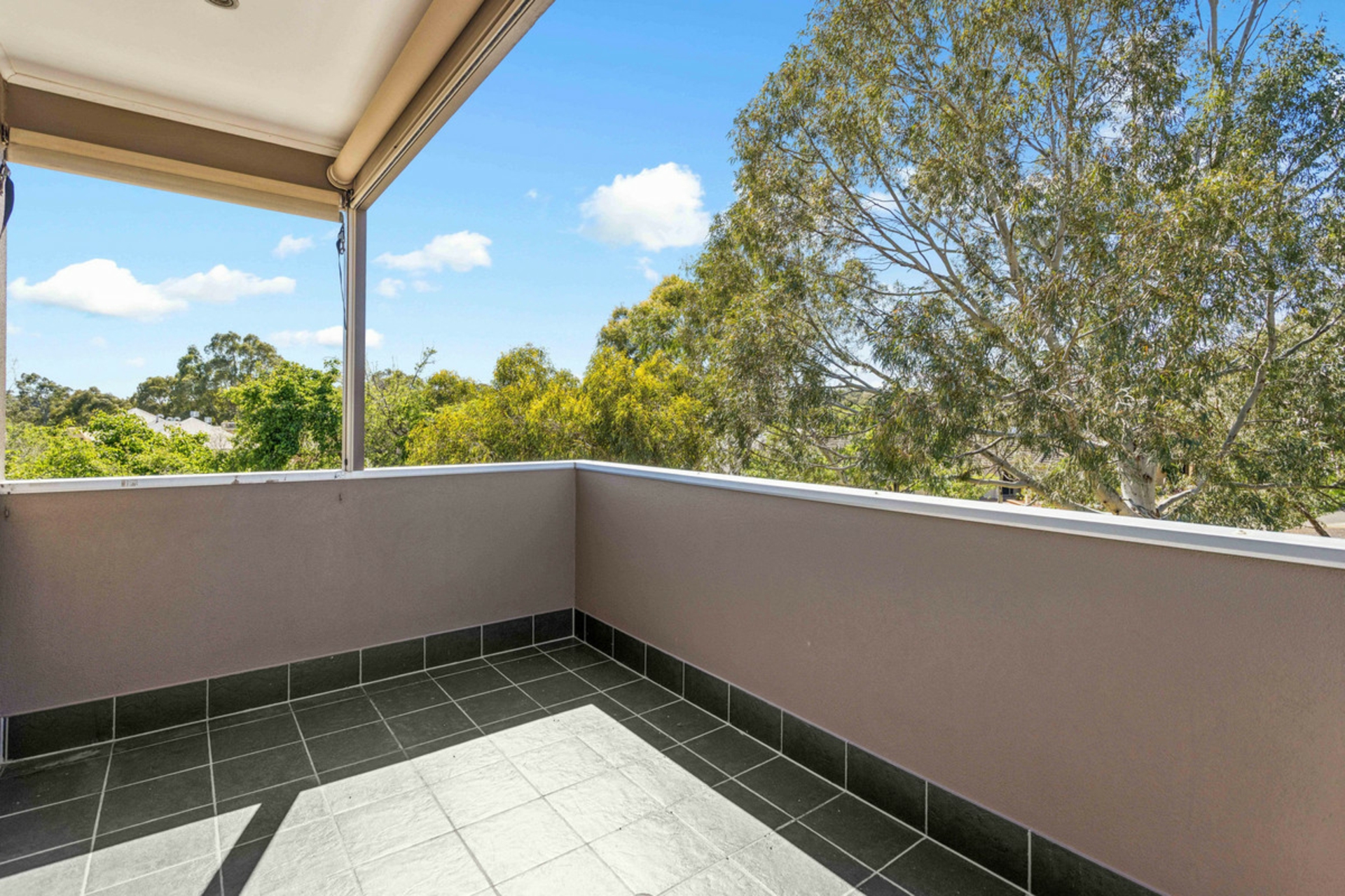 1 Lady Williams Place — photo 19 of 25