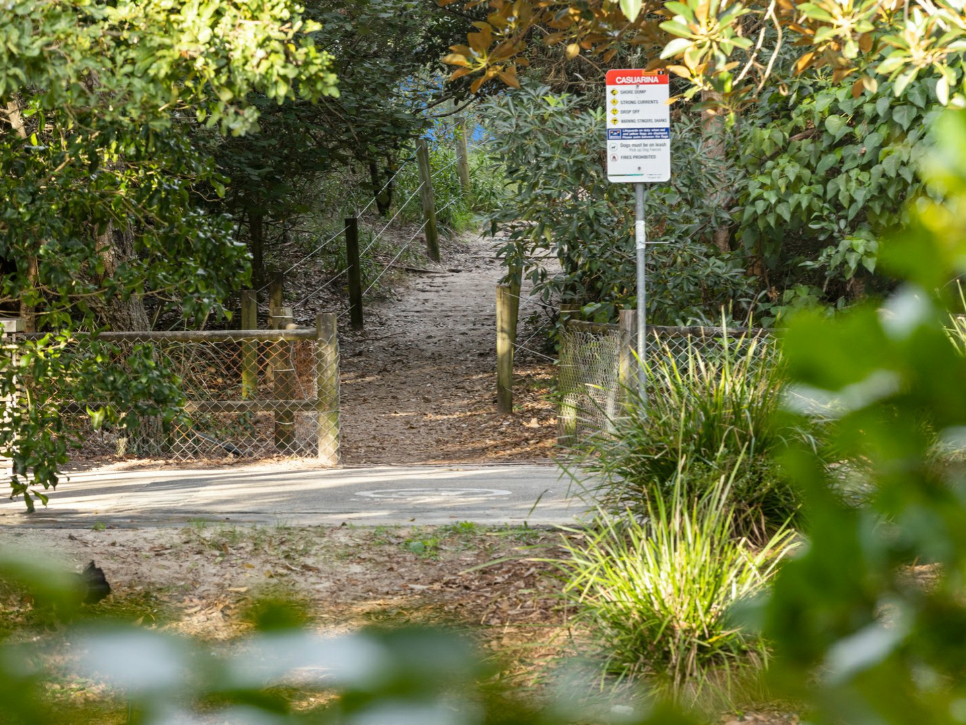 1 She-Oak Lane, CASUARINA