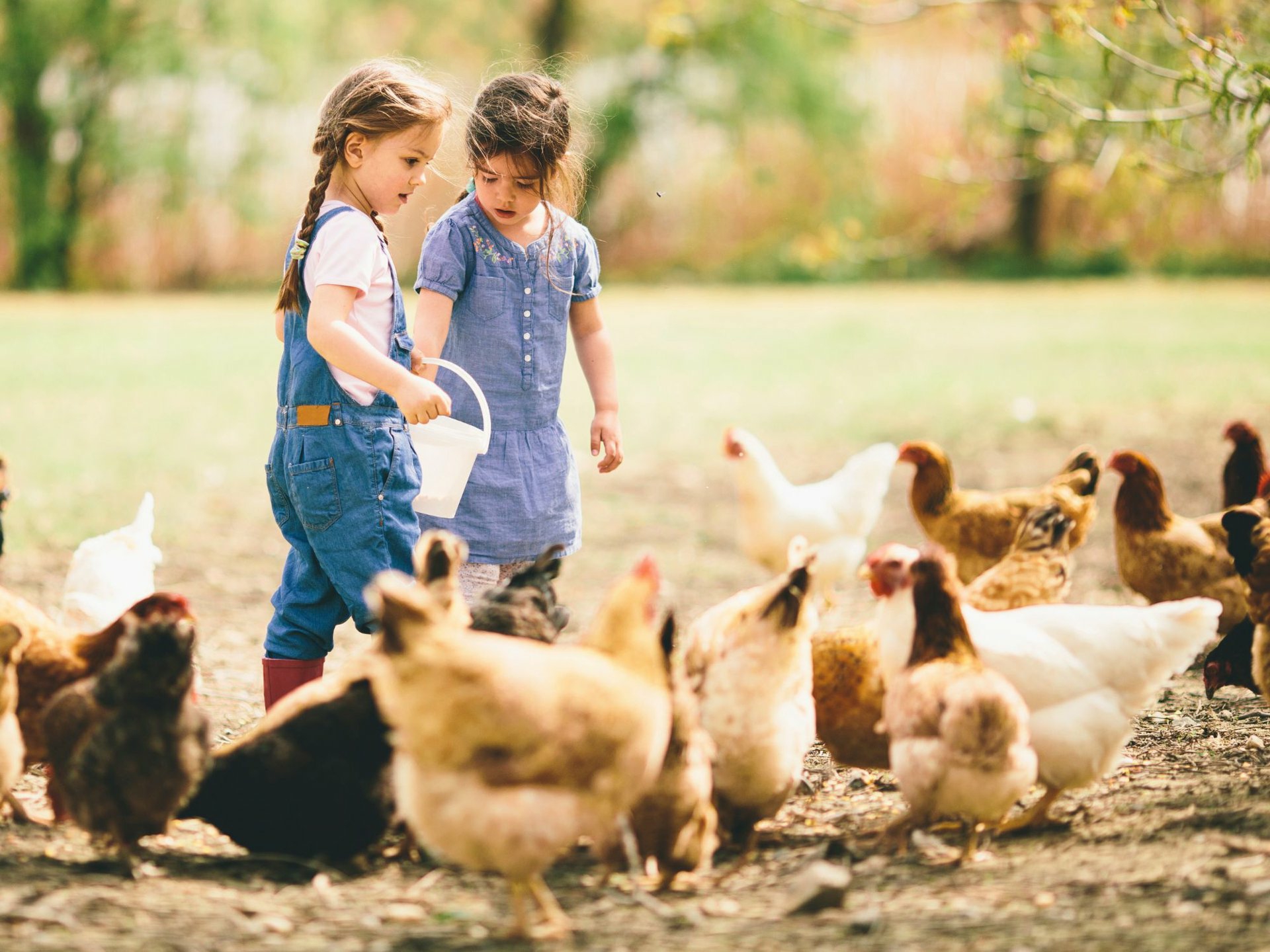 Lot 7 / 101 Cudgen Road Cudgen NSW Residential for Sale LJ Hooker