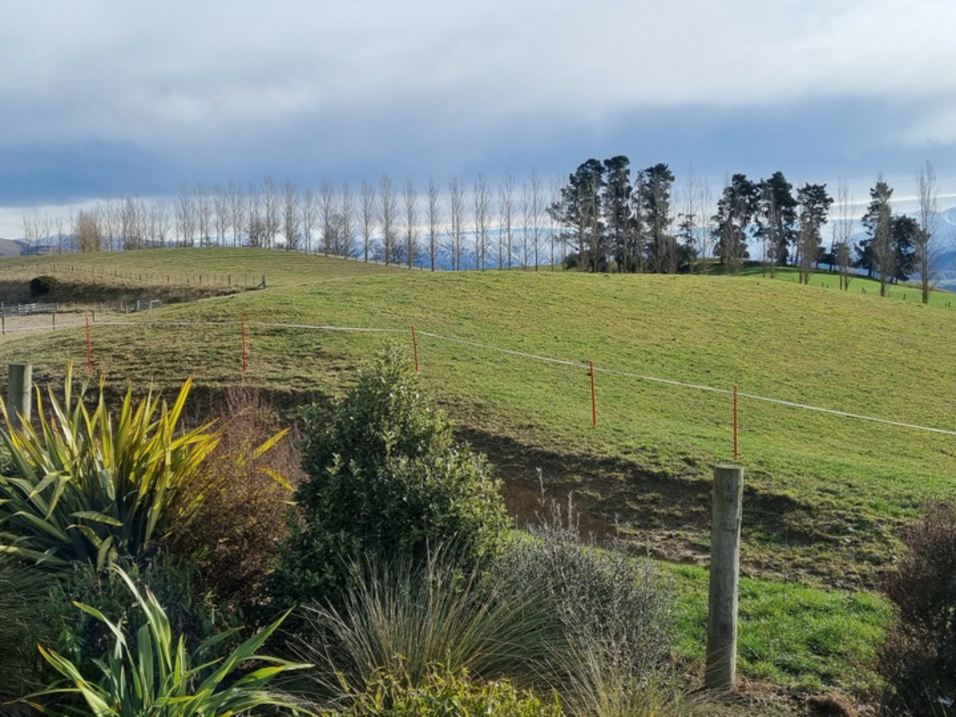66 Oldfields Road, FAIRLIE