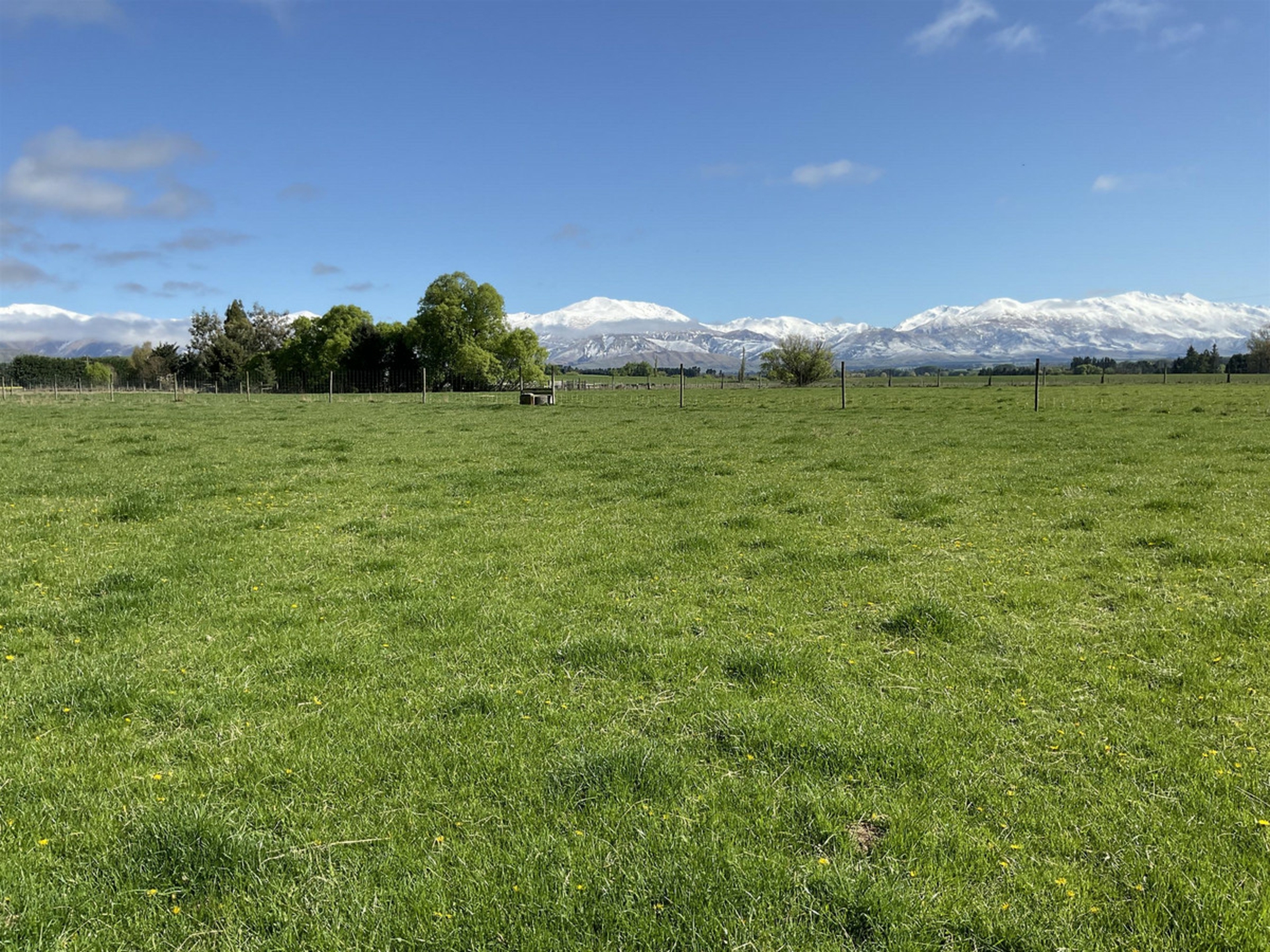 181 Nixons Road, FAIRLIE