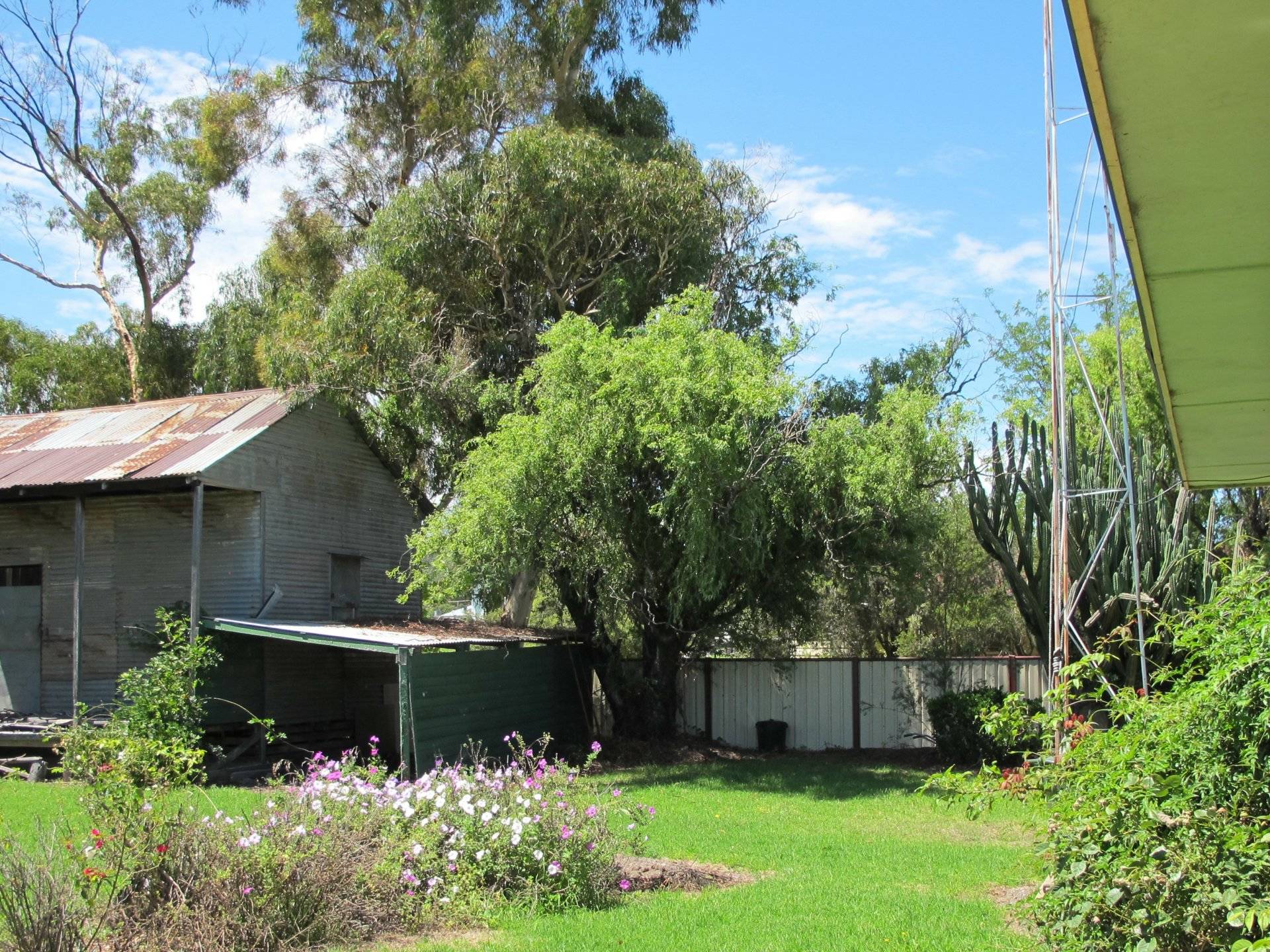 38 O'Donnell Street Emmaville NSW