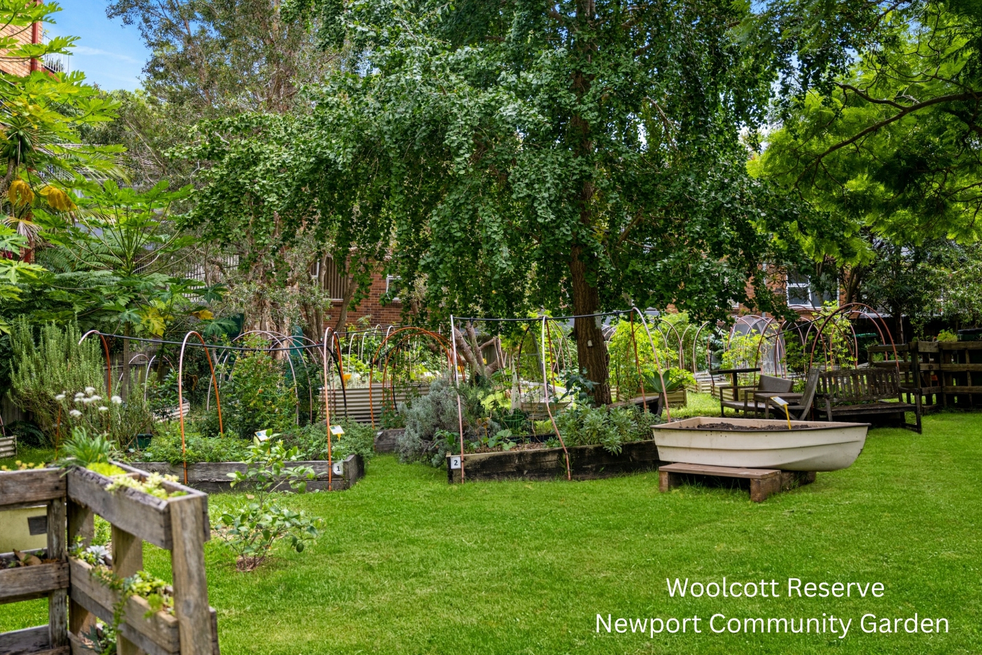 7/23 Woolcott Street — photo 10 of 11