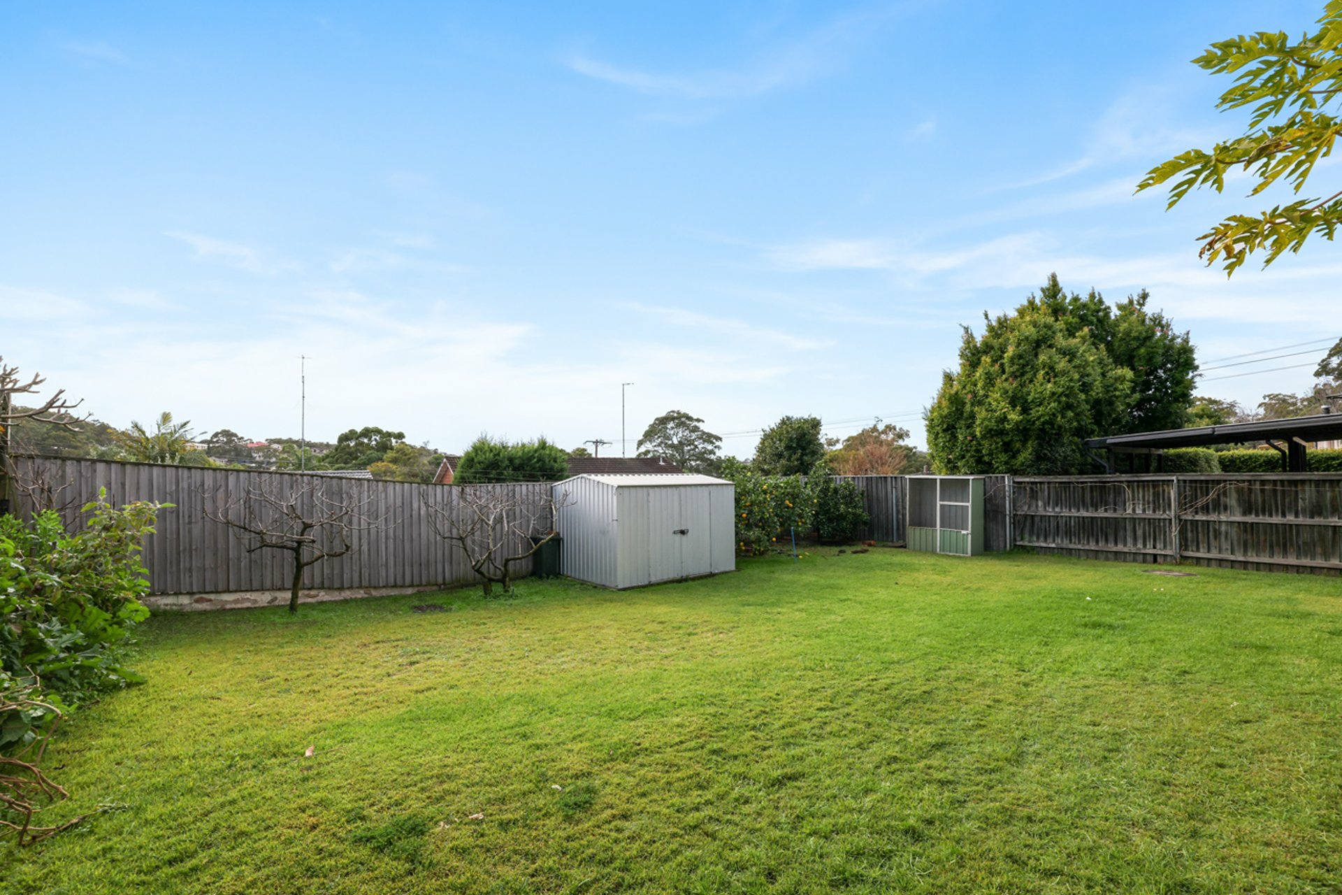 6 Northcott Street — photo 6 of 6