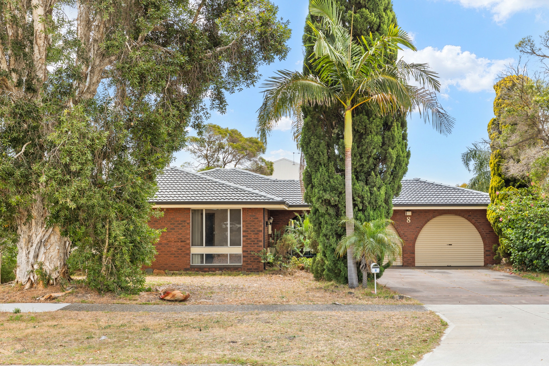 8 Panamuna Drive, WILLETTON