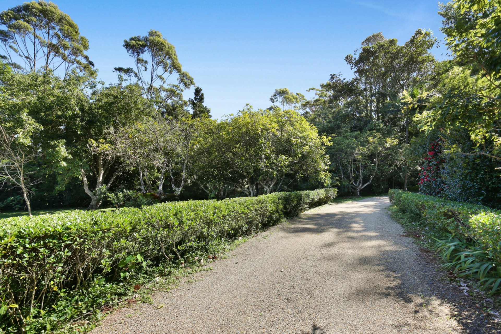 411 Long Road, TAMBORINE MOUNTAIN