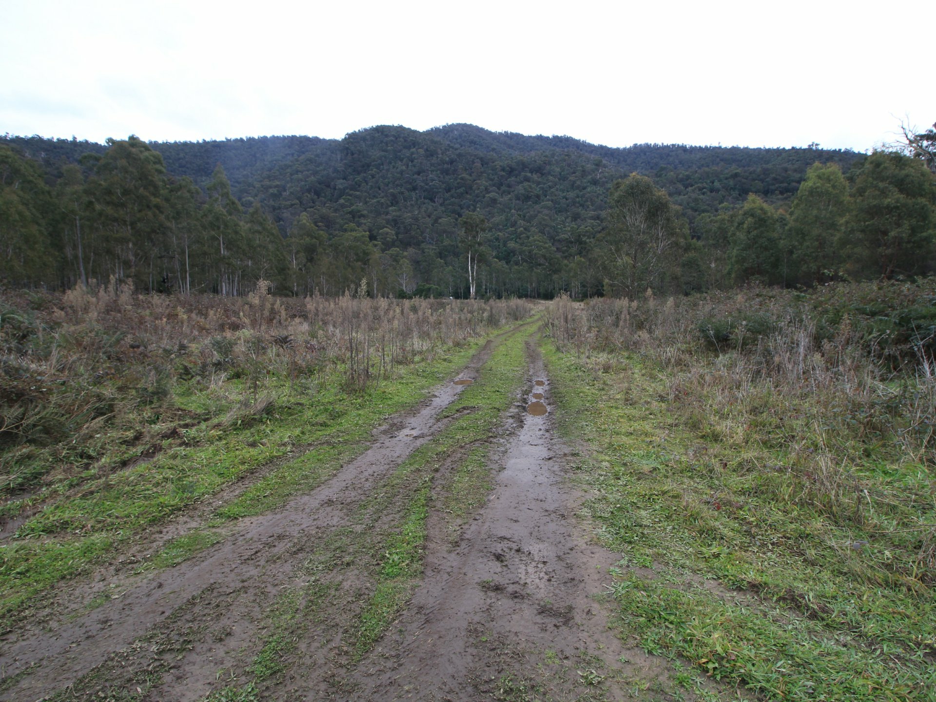 CA2 Upper Dargo Road Dargo VIC Lifestyle for Sale LJ Hooker