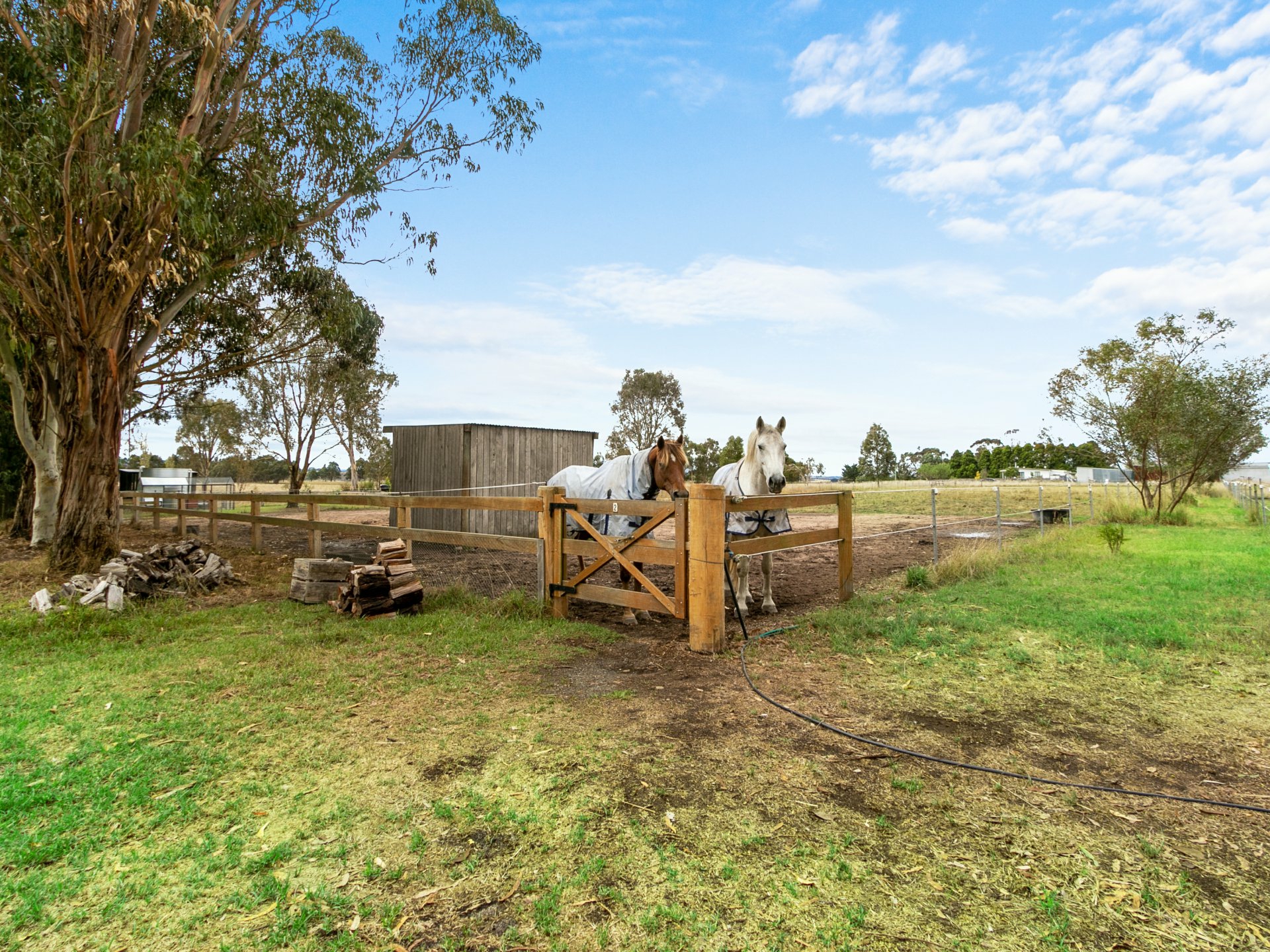 715 Bairnsdale/Dargo Road, BAIRNSDALE