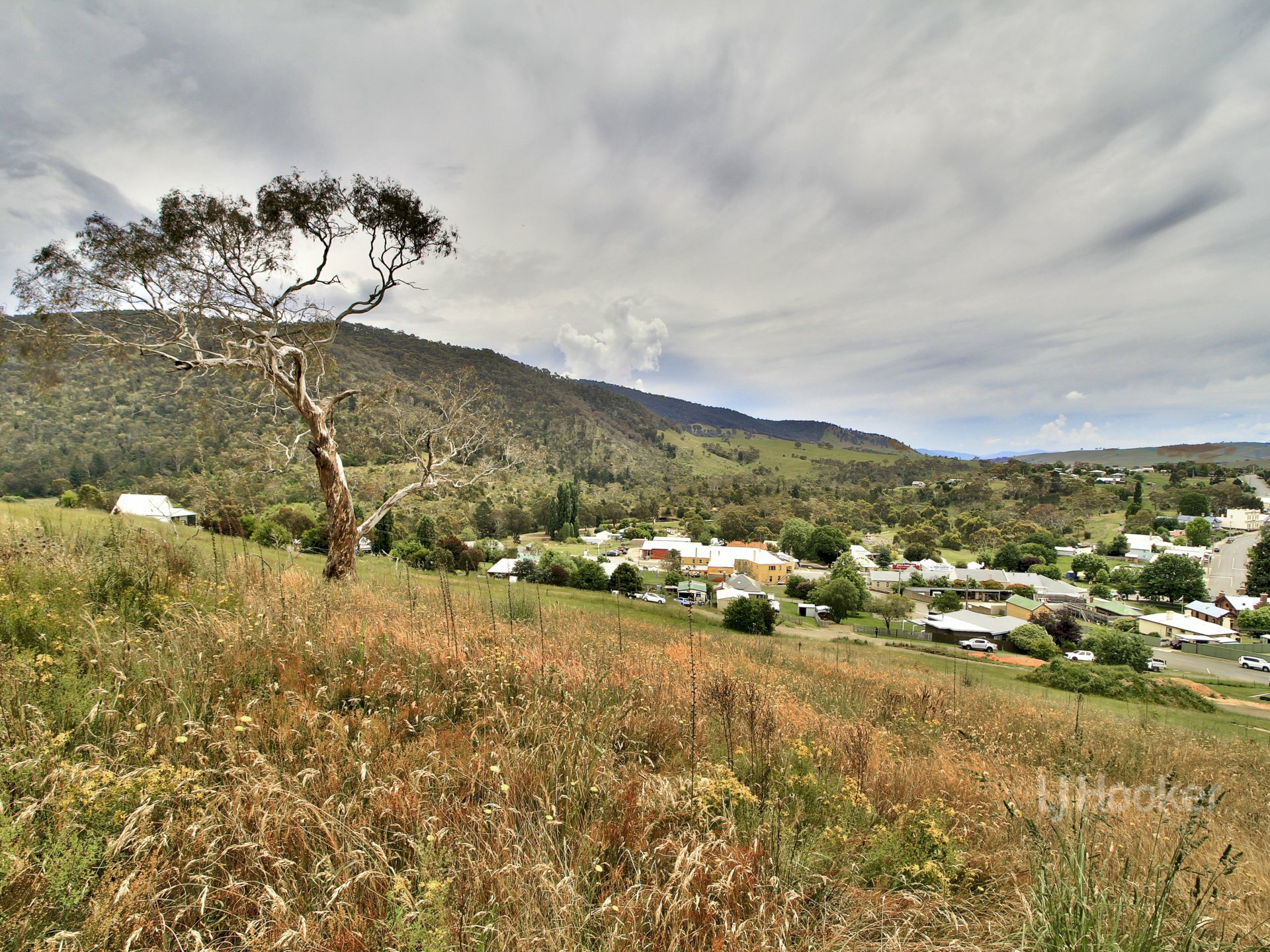 7 Wills Street Omeo VIC Residential for Sale LJ Hooker