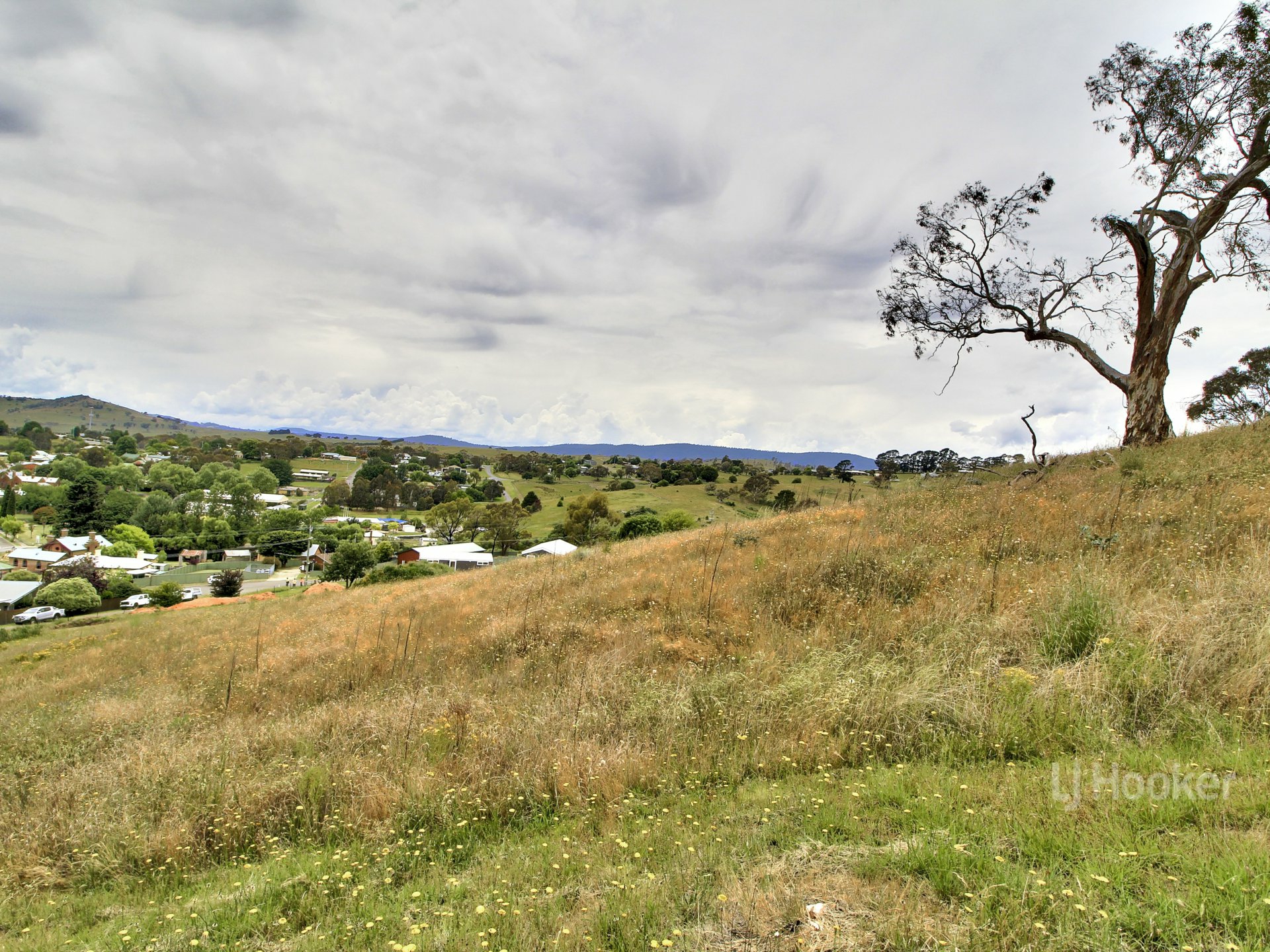 7 Wills Street Omeo VIC Residential for Sale LJ Hooker